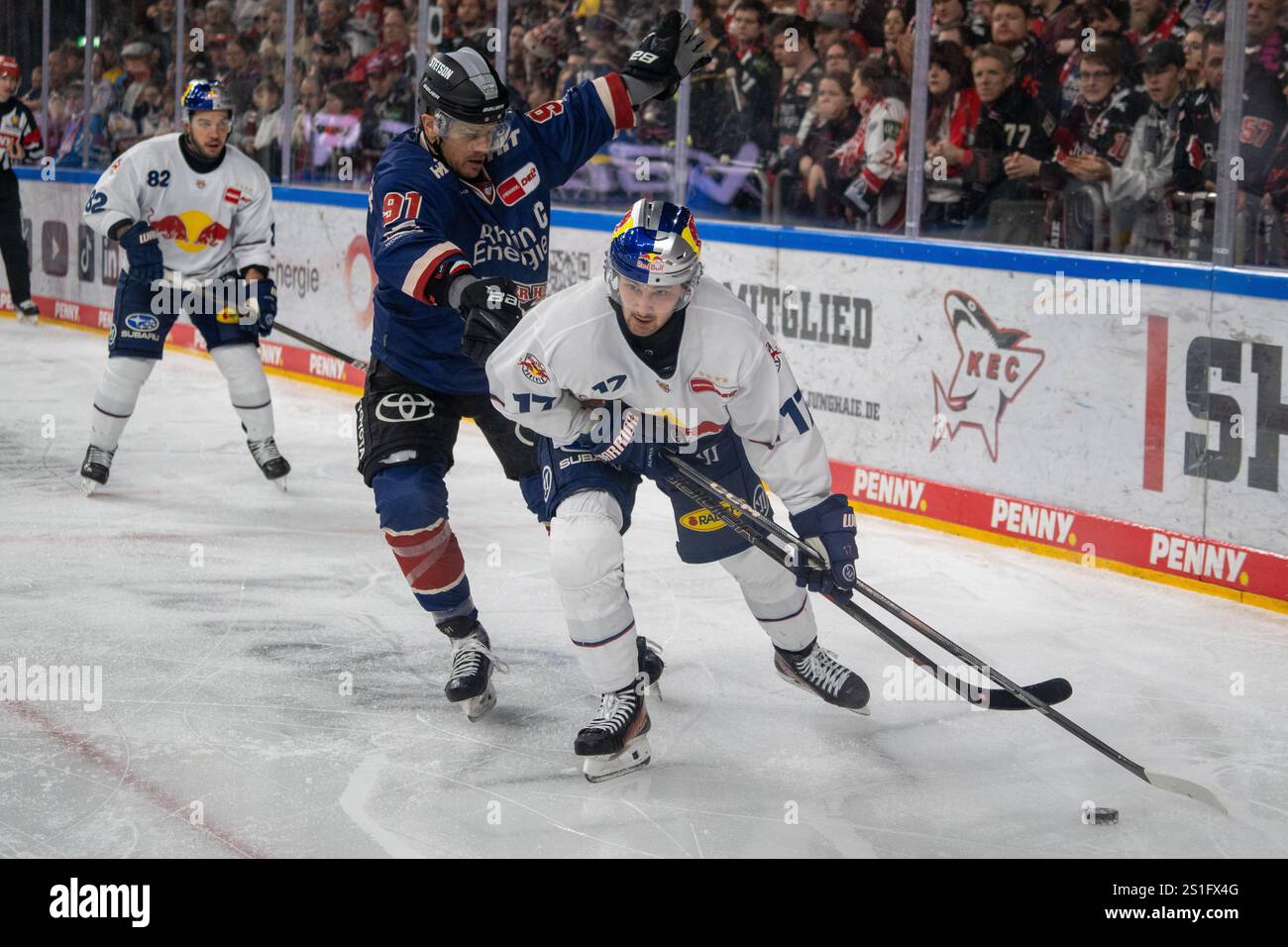 03.02.2025, DEL, German Ice Hockey League stagione 2024/25, 33. Giorno di partita: Kölner Haie contro i Red Bulls Monaco Foto Stock