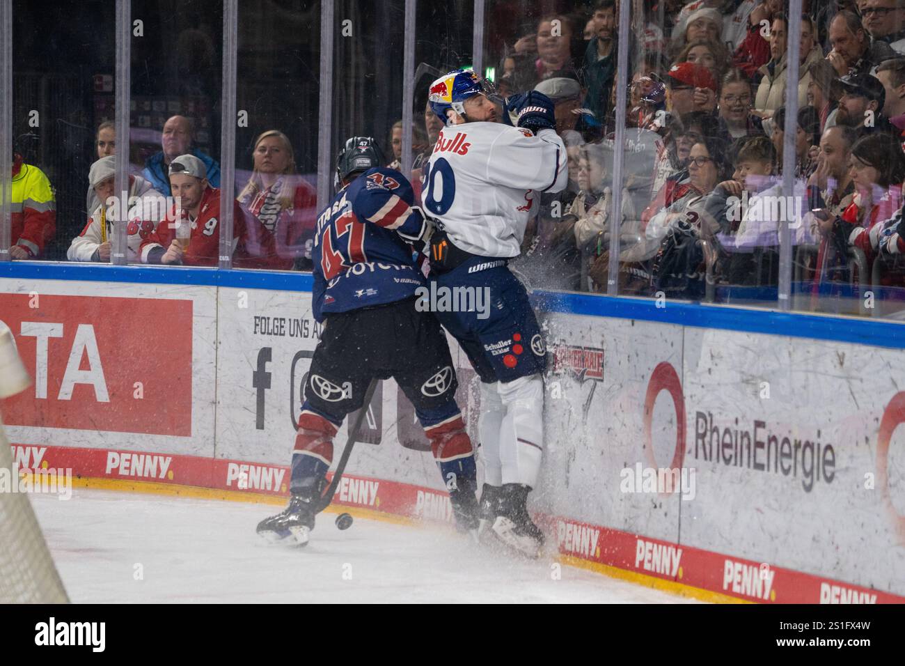 03.02.2025, DEL, German Ice Hockey League stagione 2024/25, 33. Giorno di partita: Kölner Haie contro i Red Bulls Monaco Foto Stock