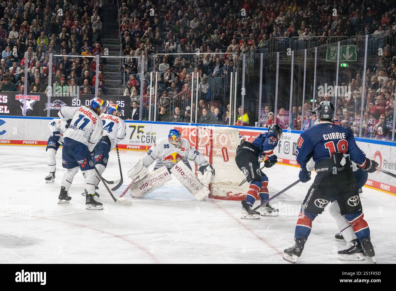 03.02.2025, DEL, German Ice Hockey League stagione 2024/25, 33. Giorno di partita: Kölner Haie contro i Red Bulls Monaco Foto Stock