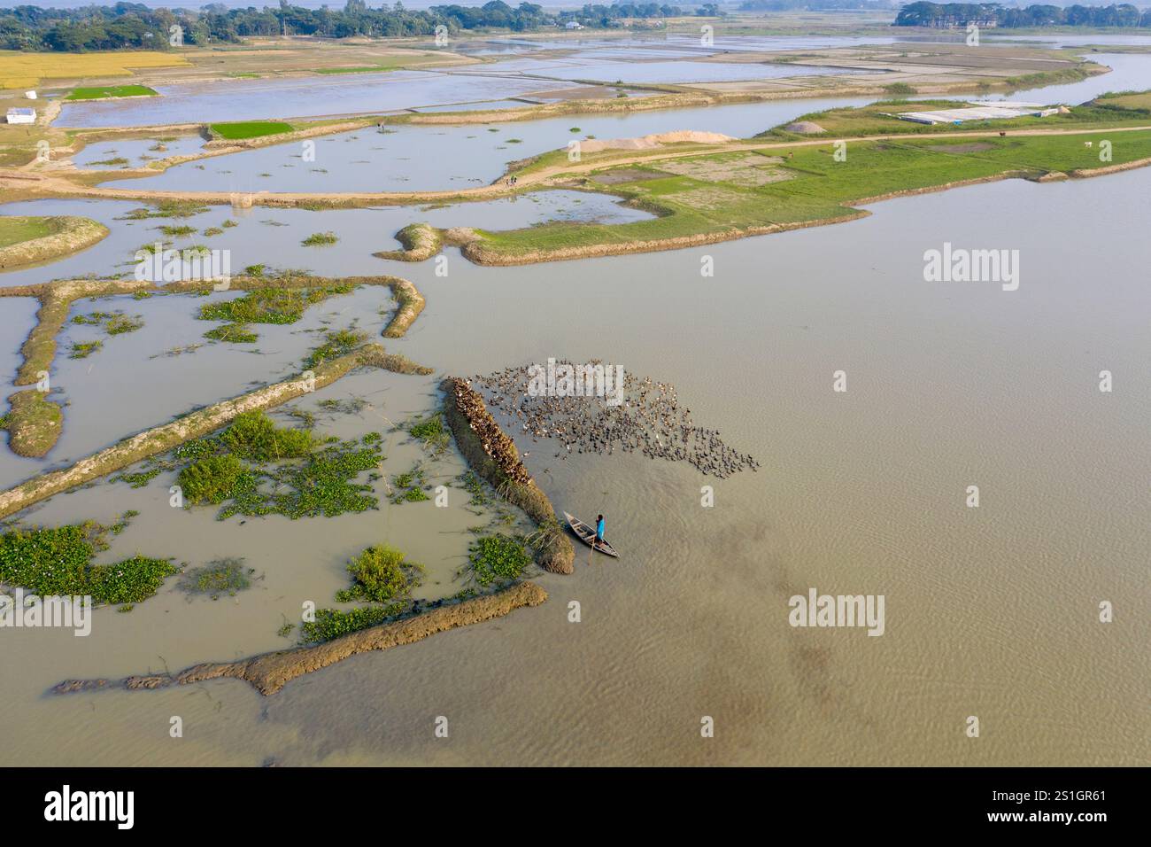 Allevatore di anatre che allevano un gregge di anatre domestiche nelle acque di Mohonganj, distretto di Netrokona, Bangladesh, durante la stagione invernale. Foto Stock Allevatore di anatre che allevano un gregge di anatre domestiche nelle acque di Mohonganj, distretto di Netrokona, Bangladesh, durante la stagione invernale. Foto Stock
