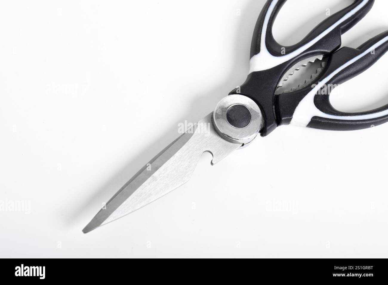 Forbici da cucina in acciaio inox isolato su sfondo bianco. Foto Stock