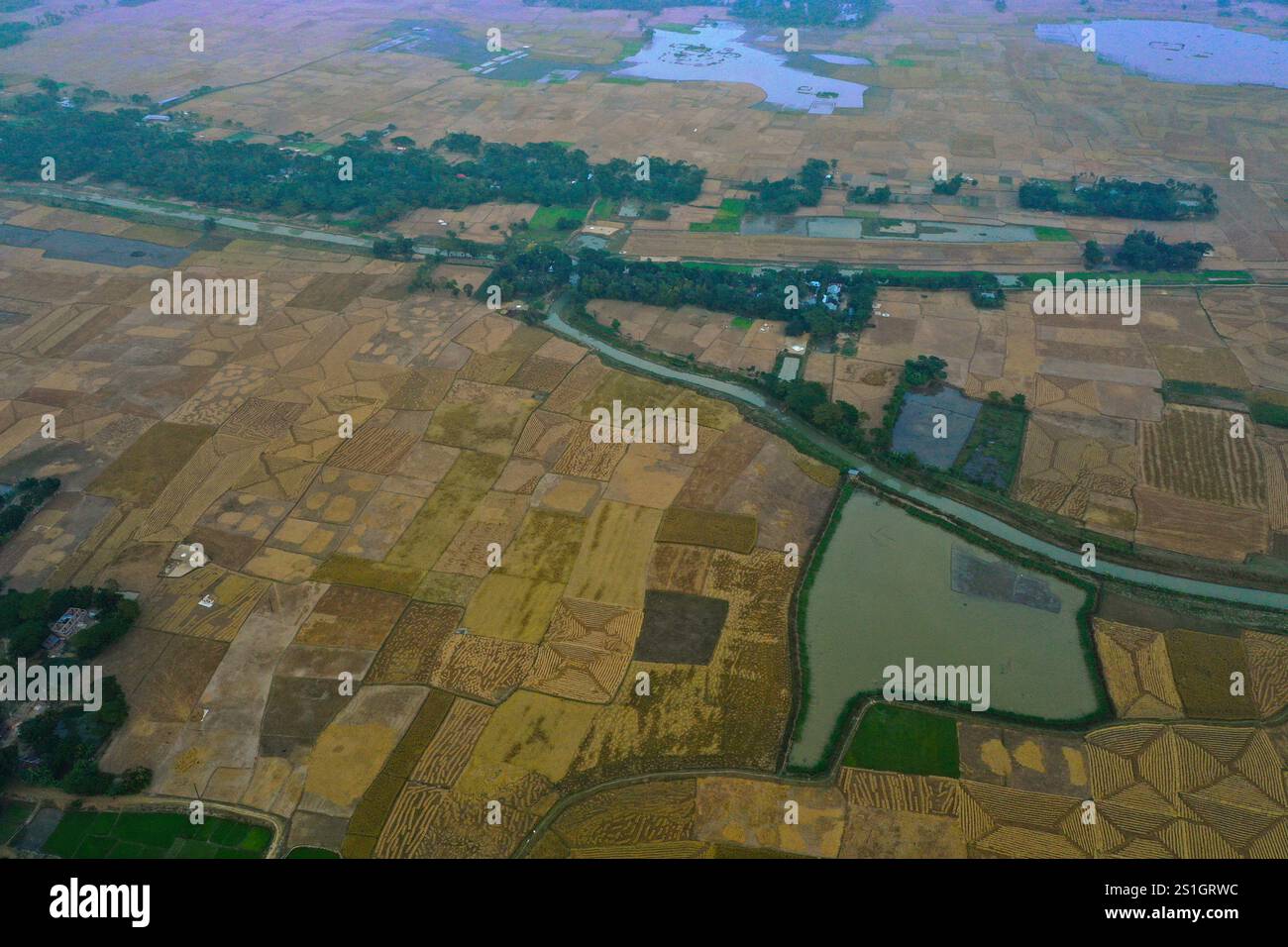 Una vista a volo d'uccello degli ampi campi della regione di Haor di Mohonganj, distretto di Netrokona, Bangladesh, durante la stagione del raccolto. Foto Stock