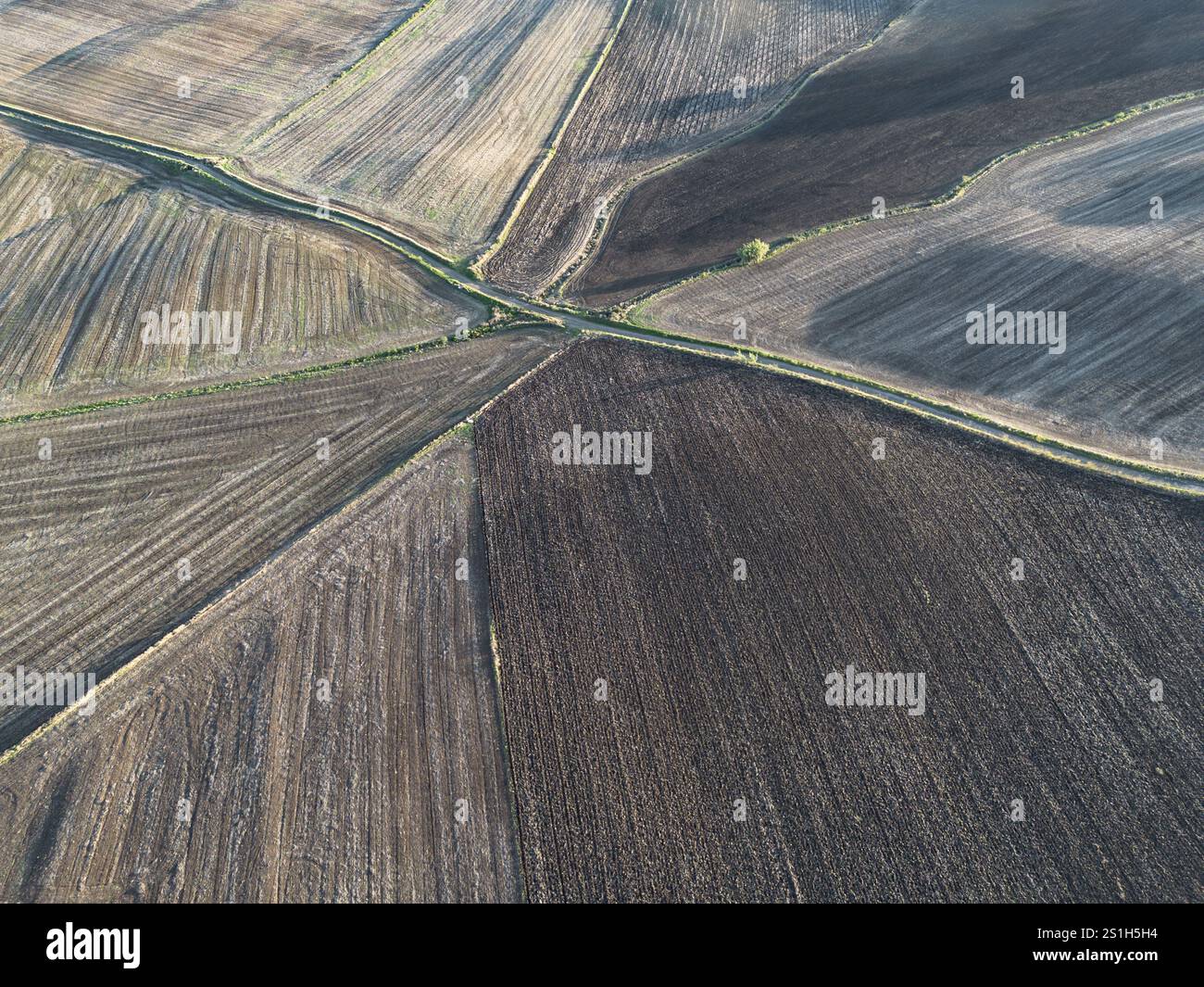 Vista dall'alto delle geometrie dei terreni agricoli, in una zona collinare della provincia di Viterbo, nell'Italia centrale Foto Stock
