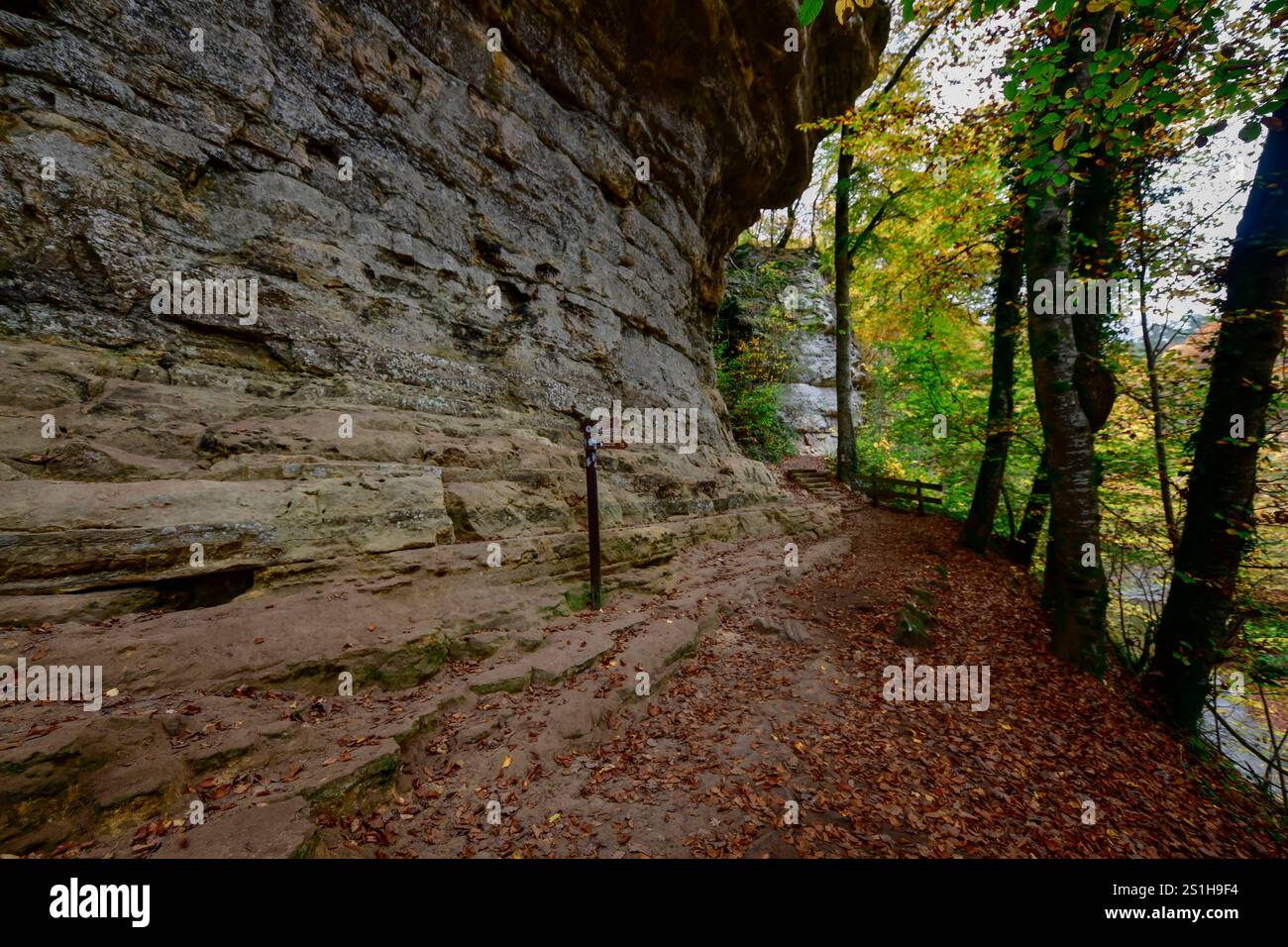 Wandern im Mullerthal Das romantische Mullerthal a Lussemburgo. Fotografiert AM 29.10..2024. Müllerthal Mullerthal Lussemburgo  JK10582 *** escursioni nel Mullerthal il romantico Mullerthal in Lussemburgo fotografato il 29 10 2024 Mullerthal Mullerthal Lussemburgo JK10582 Foto Stock