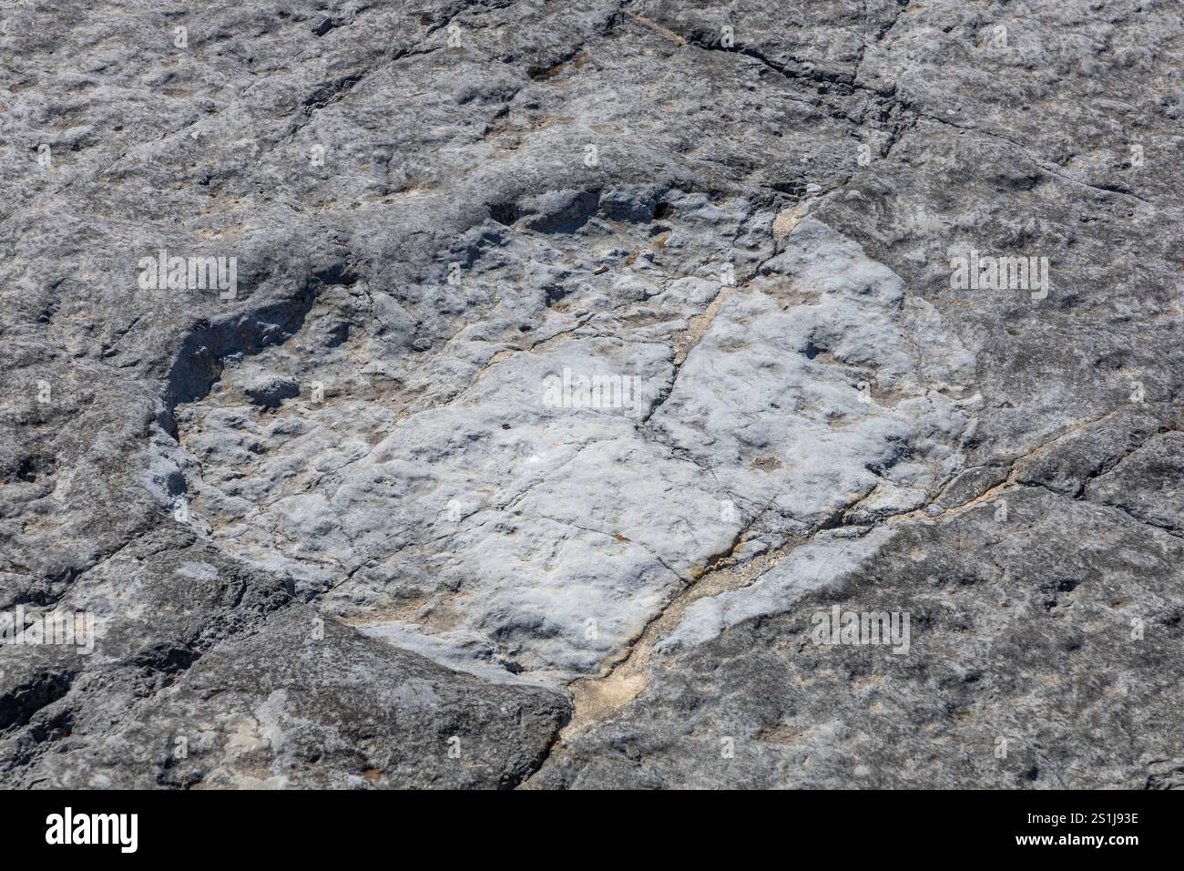 Reale impronta di dinosauro primo piano impresso nella roccia, Ourém Portogallo Foto Stock