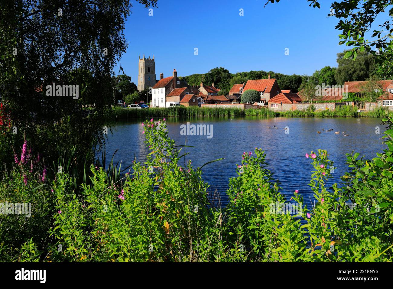 Vista sul laghetto delle anatre del villaggio di Great Massingham, North Norfolk, Inghilterra, Regno Unito Foto Stock