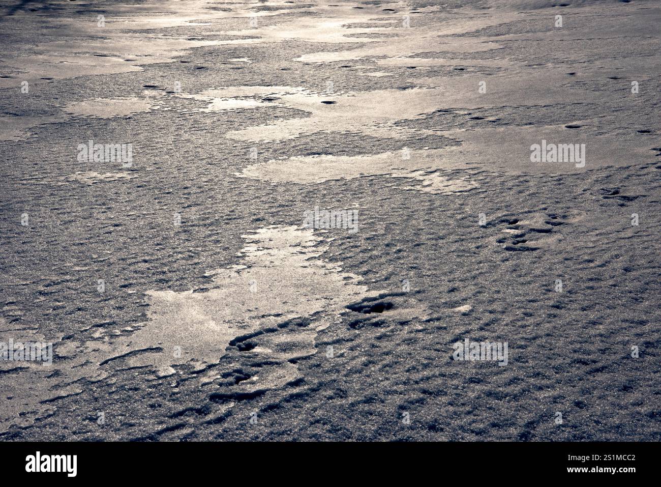 La luce del sole si riflette sul ghiaccio che scioglie e sul ghiaccio ruvido su terreni ghiacciati, catturando la fugace bellezza e la transitorietà dei cambiamenti stagionali Foto Stock