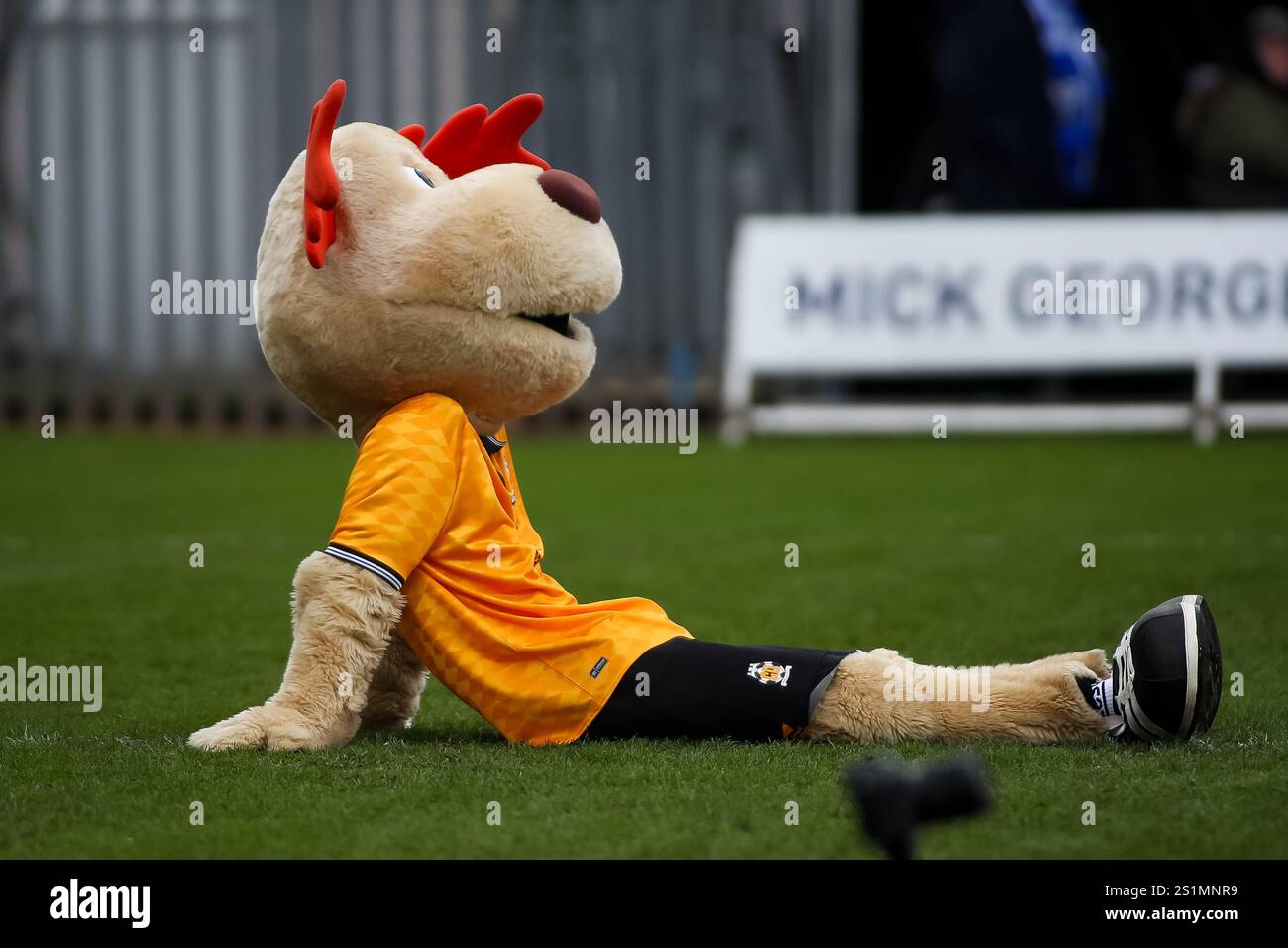 Marvin the Moose - Cambridge Mascot durante la partita EFL League One tra Cambridge United e Bristol Rovers al Cledara Abbey Stadium di Cambridge Foto Stock