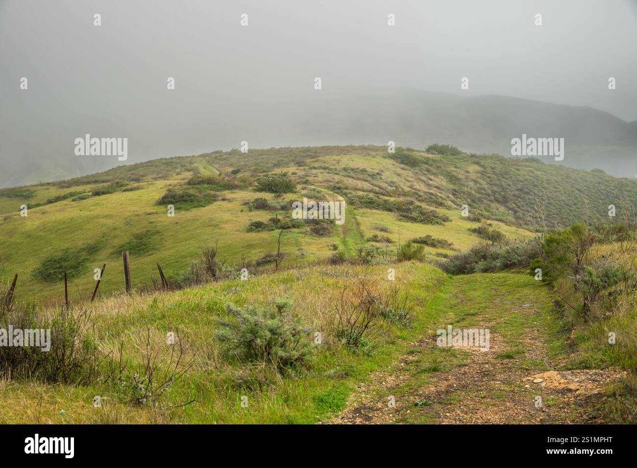 Il sentiero del Norte si snoda su Hillside nell'isola di Santa Cruz Foto Stock