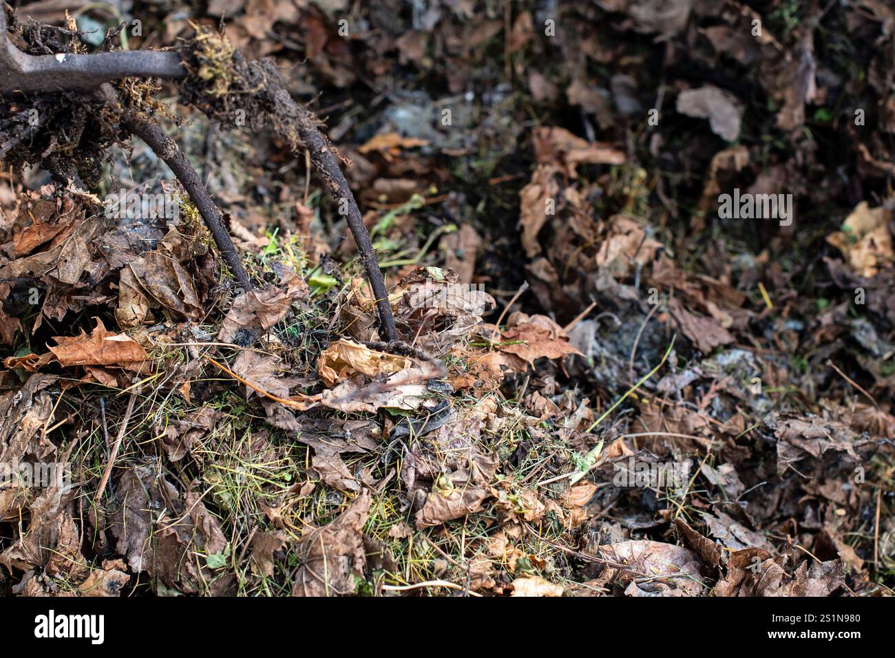Bidone composto di legno fatto in casa nel giardino. Riciclaggio di materiali biodegradabili organici e rifiuti domestici in compostaggio. Fertilizzante organico migliore. Foto Stock