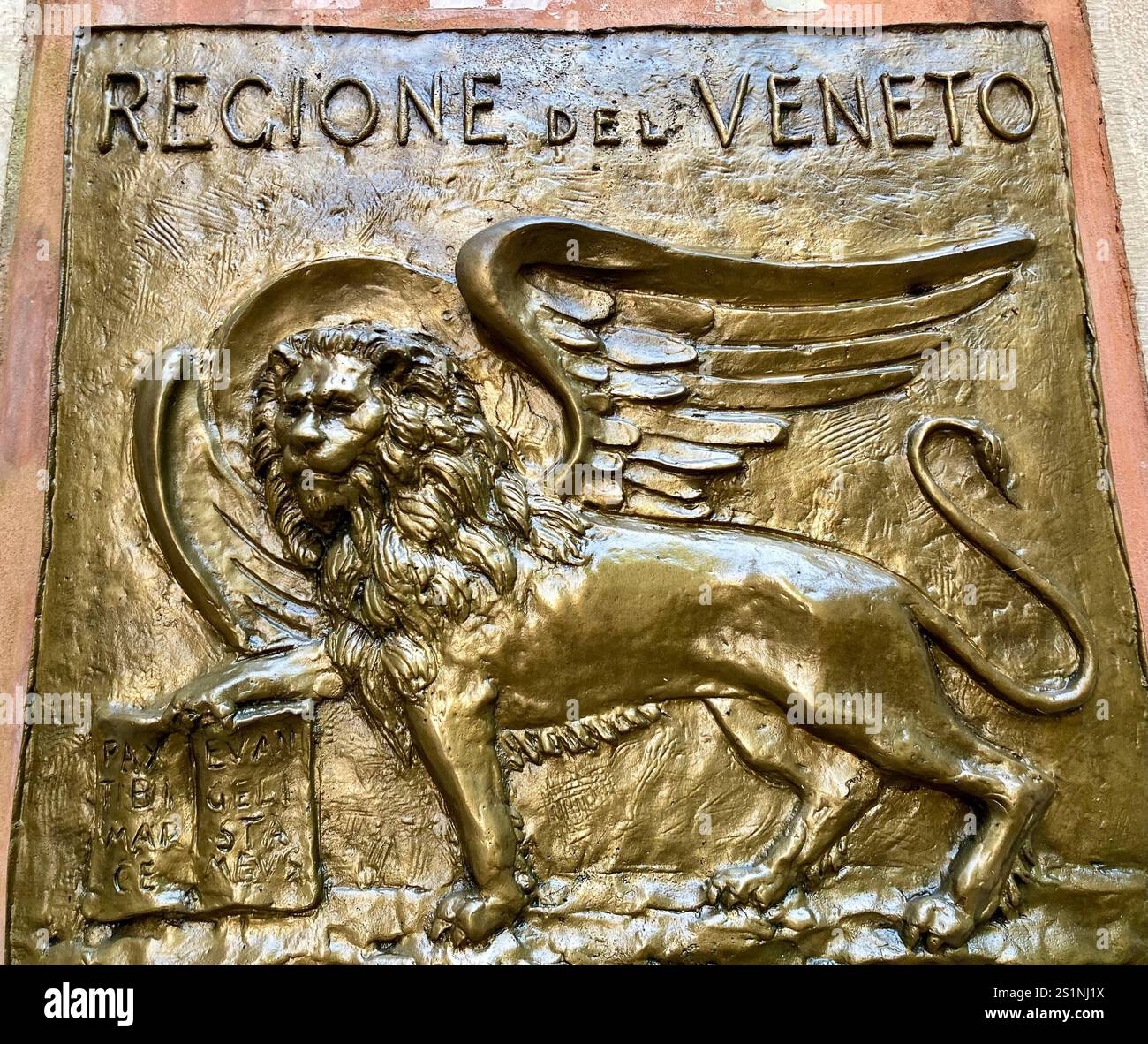 Il leone alato, un simbolo di Venezia - Immagine stock catturata con smartphone