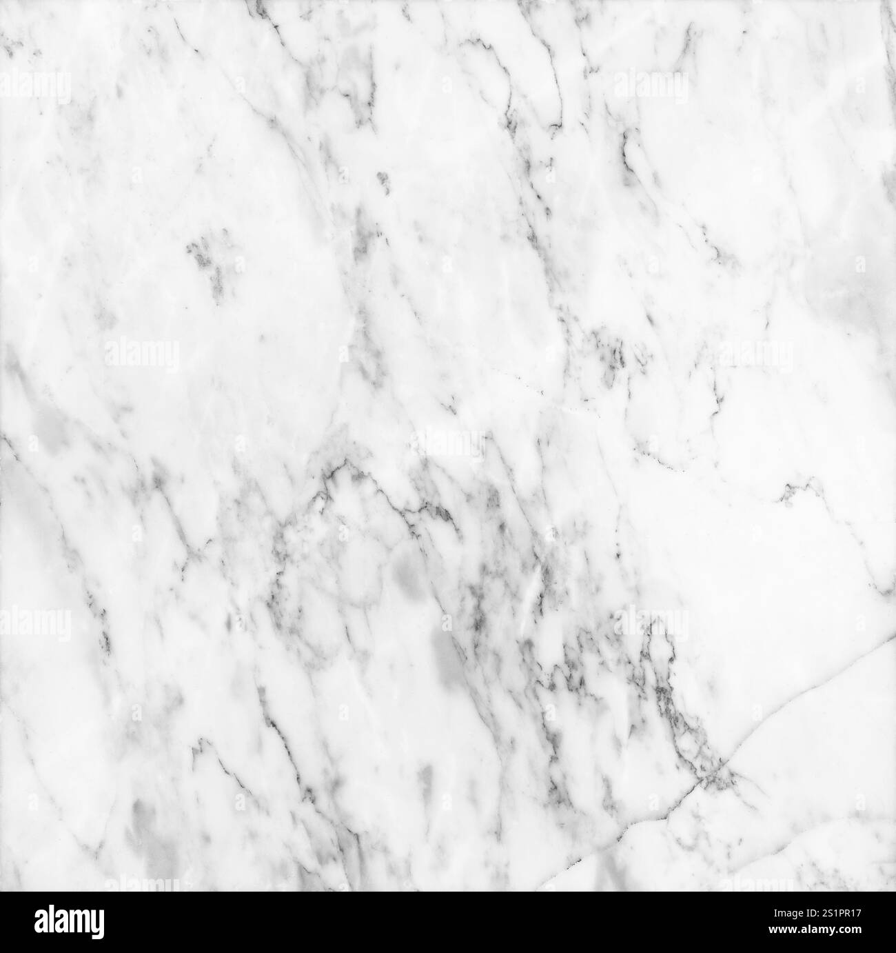 Primo piano di una parete o pavimento in pietra naturale liscia o marmo in bianco e nero. Sfondo testurizzato full frame astratto ad alta risoluzione, spazio di copia. Foto Stock