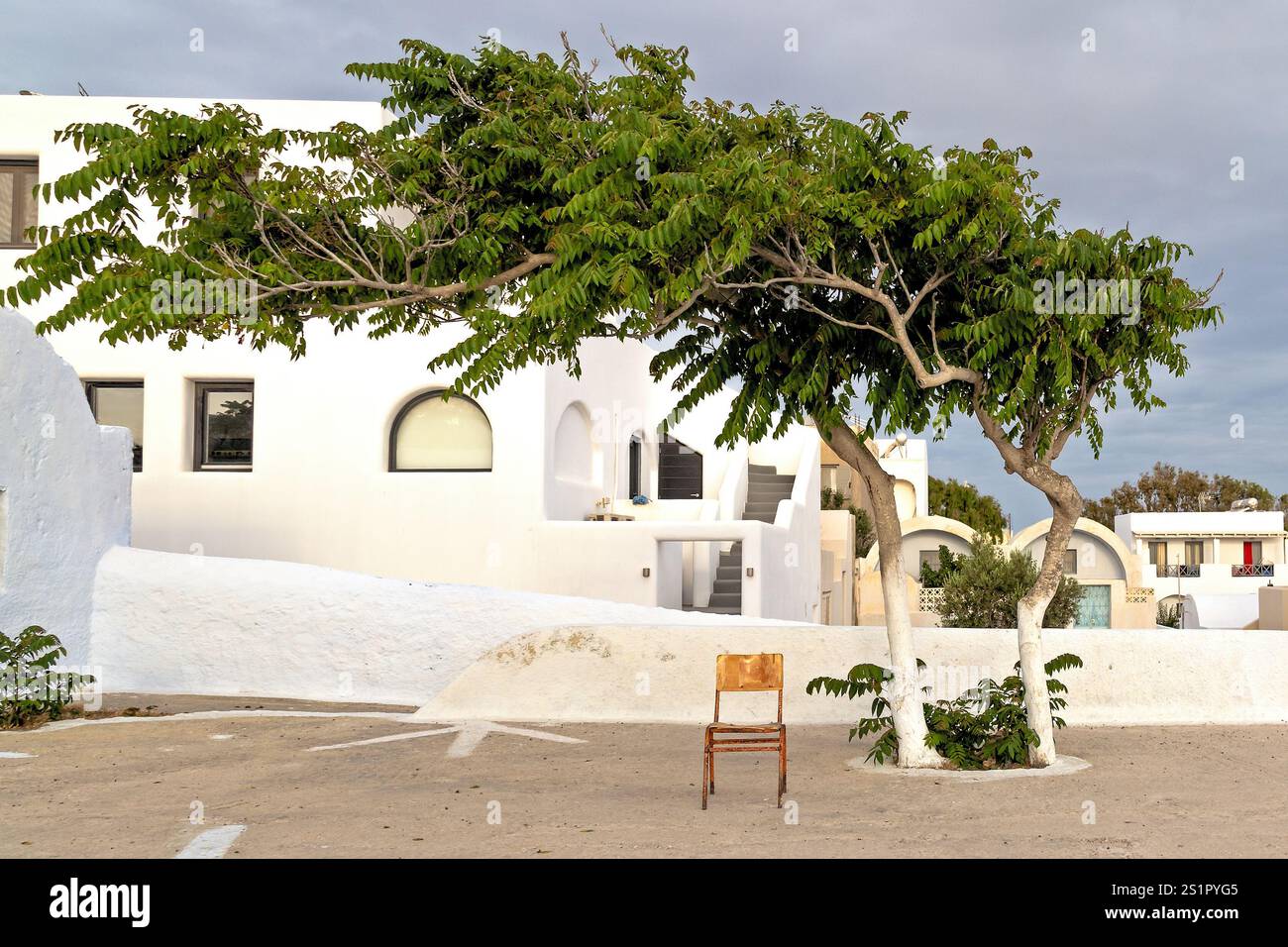 Ambiente tranquillo all'aperto con sedia sotto l'albero e architettura bianca, Oia, Santorini, Grecia Foto Stock