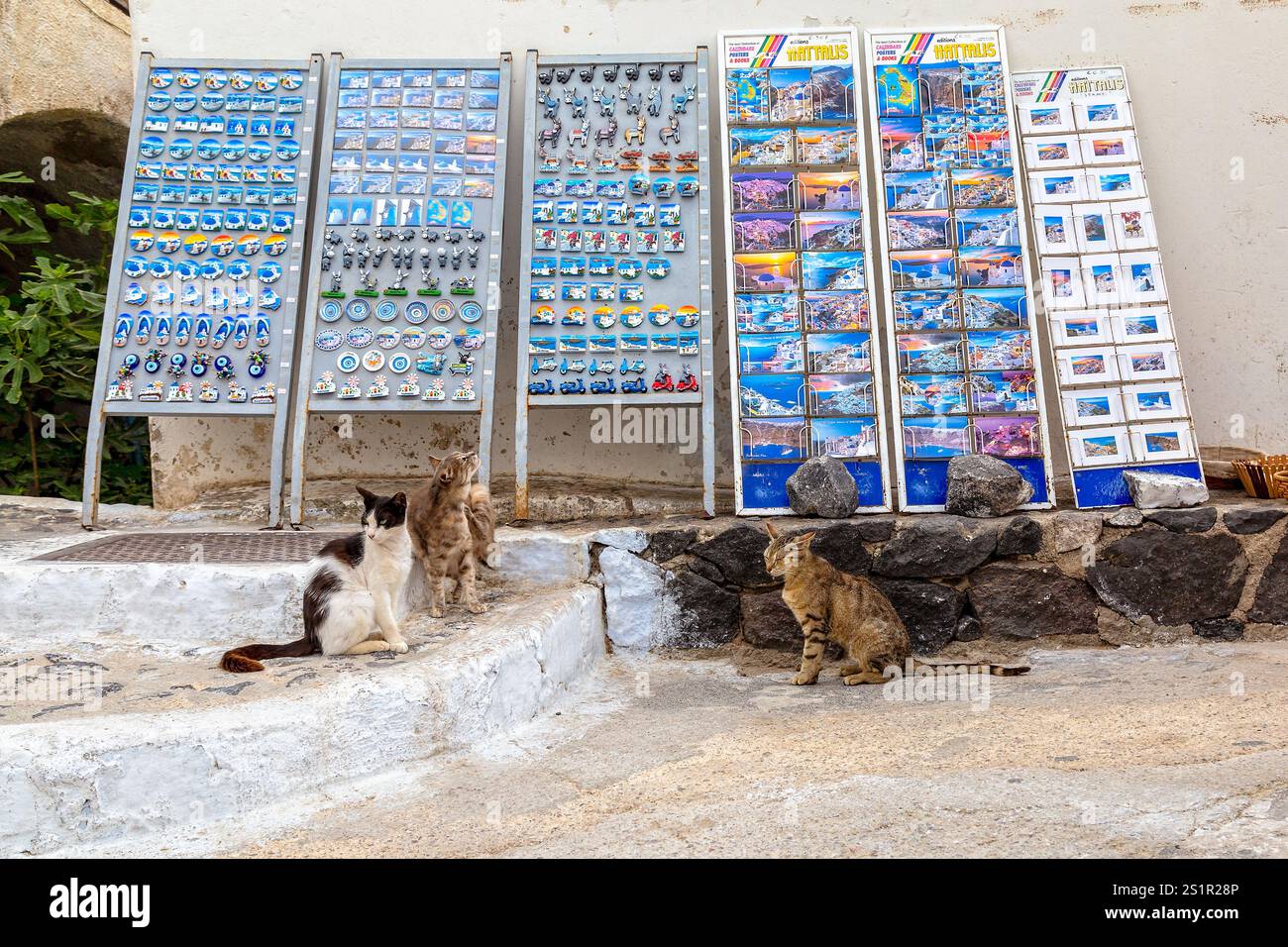 Gatti seduti vicino all'esposizione di cartoline e magneti nel mercato Mediterraneo, Santorini, Grecia Foto Stock