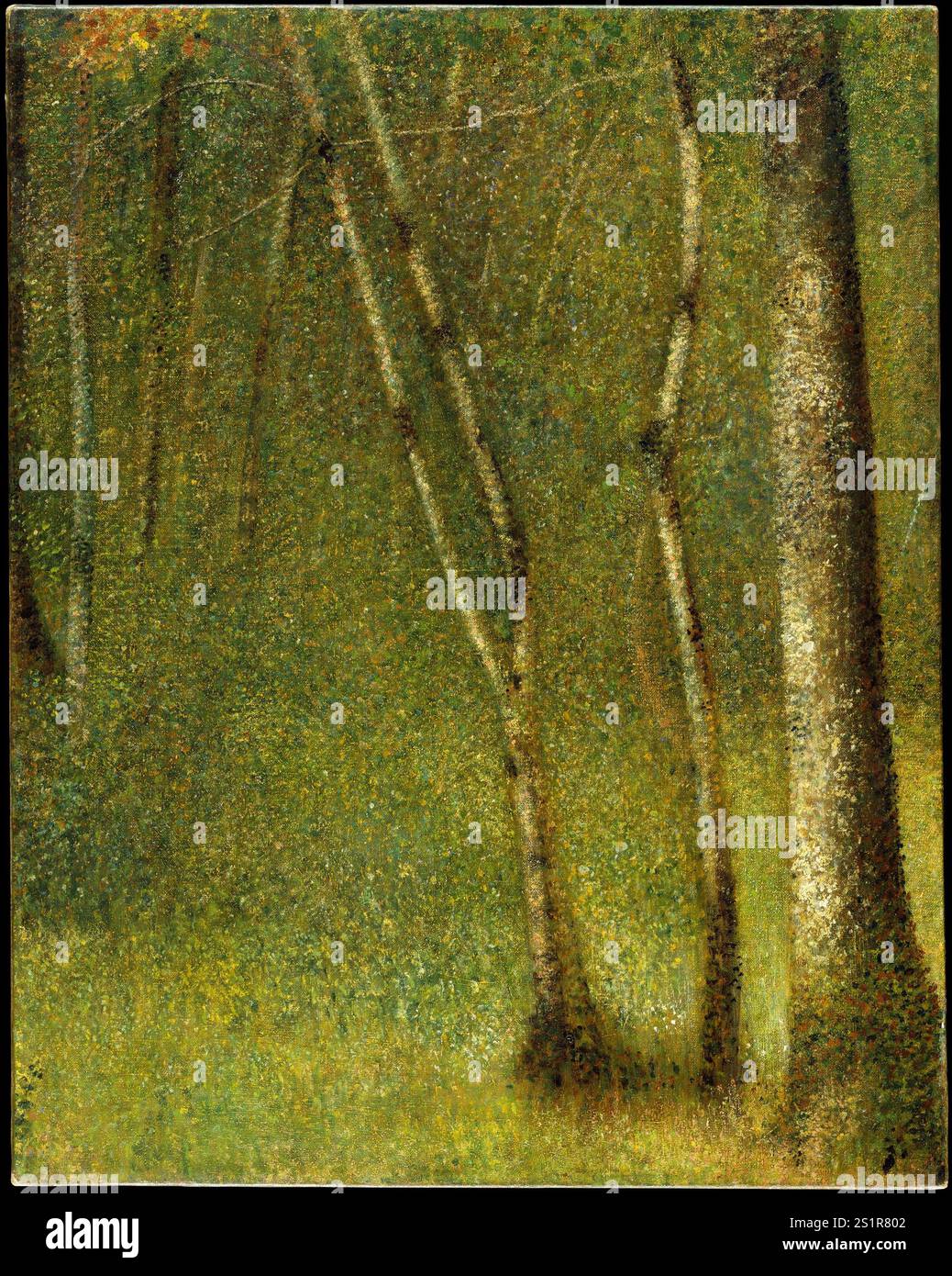 Titolo: The Forest at Pontaubert artista: Georges Seurat anno: 1881 Medio: Olio su tela dimensioni: 31 1/8 x 24 5/8 poll. (79,1 x 62,5 cm) posizione: Metropolitan Museum of Art Foto Stock