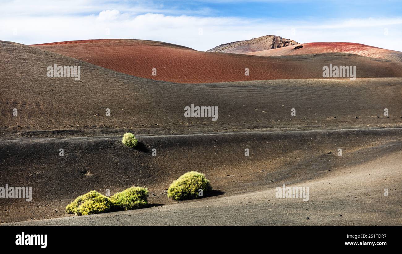 2016, Parco Nazionale di Timanfaya, Lanzarote, Monti del fuoco del Parco Nazionale di Timanfaya, Montanas del Fuego, ESP, Spagna, Isole Canarie, isole Canarie, A. Foto Stock