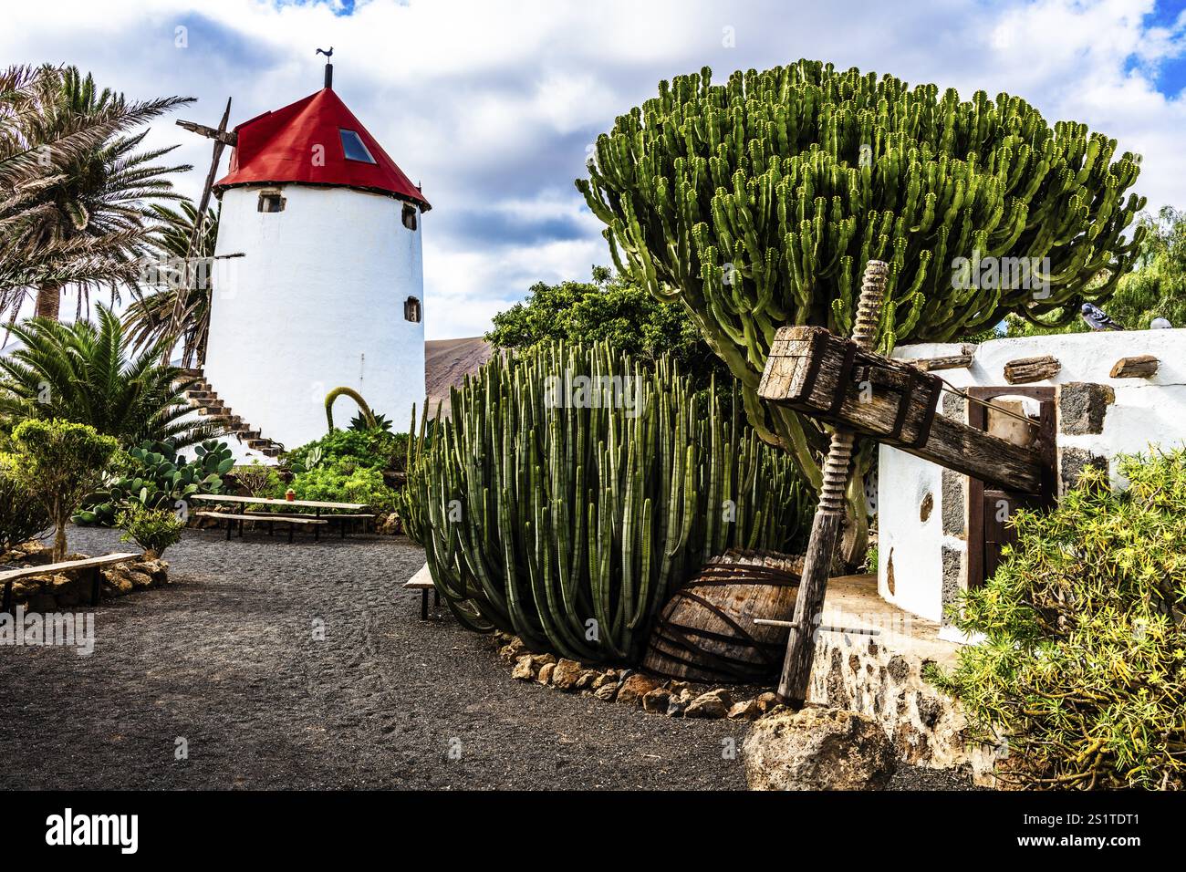 2016, Tiagua, Lanzarote, Farm Museum El Patio, Tiagua, ESP, Spagna, Isole Canarie, isole Canarie, Oceano Atlantico, Lanzarote, riserva della biosfera, volca Foto Stock