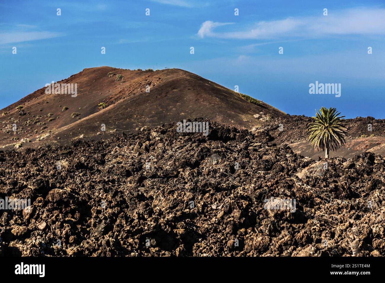 2016, Parco Nazionale di Timanfaya, Lanzarote, Monti del fuoco del Parco Nazionale di Timanfaya, Montanas del Fuego, ESP, Spagna, Isole Canarie, isole Canarie, A. Foto Stock