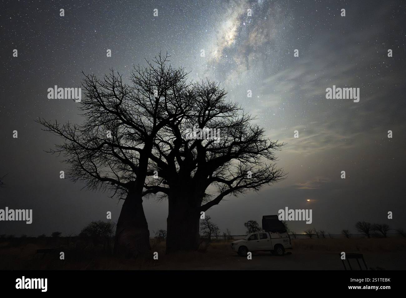 Veicolo fuoristrada in campeggio con baobab africano o albero di baobab (Adansonia digitata), cielo stellato di notte con via Lattea, Nxai Pan National Park, Bo Foto Stock