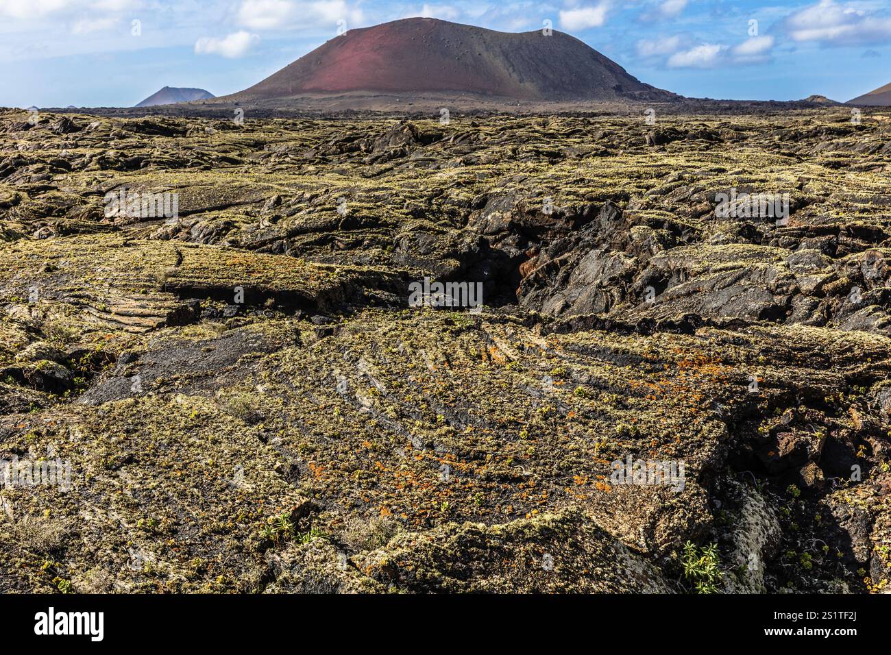 2016, Parco Nazionale di Timanfaya, Lanzarote, Monti del fuoco del Parco Nazionale di Timanfaya, Montanas del Fuego, ESP, Spagna, Isole Canarie, isole Canarie, A. Foto Stock