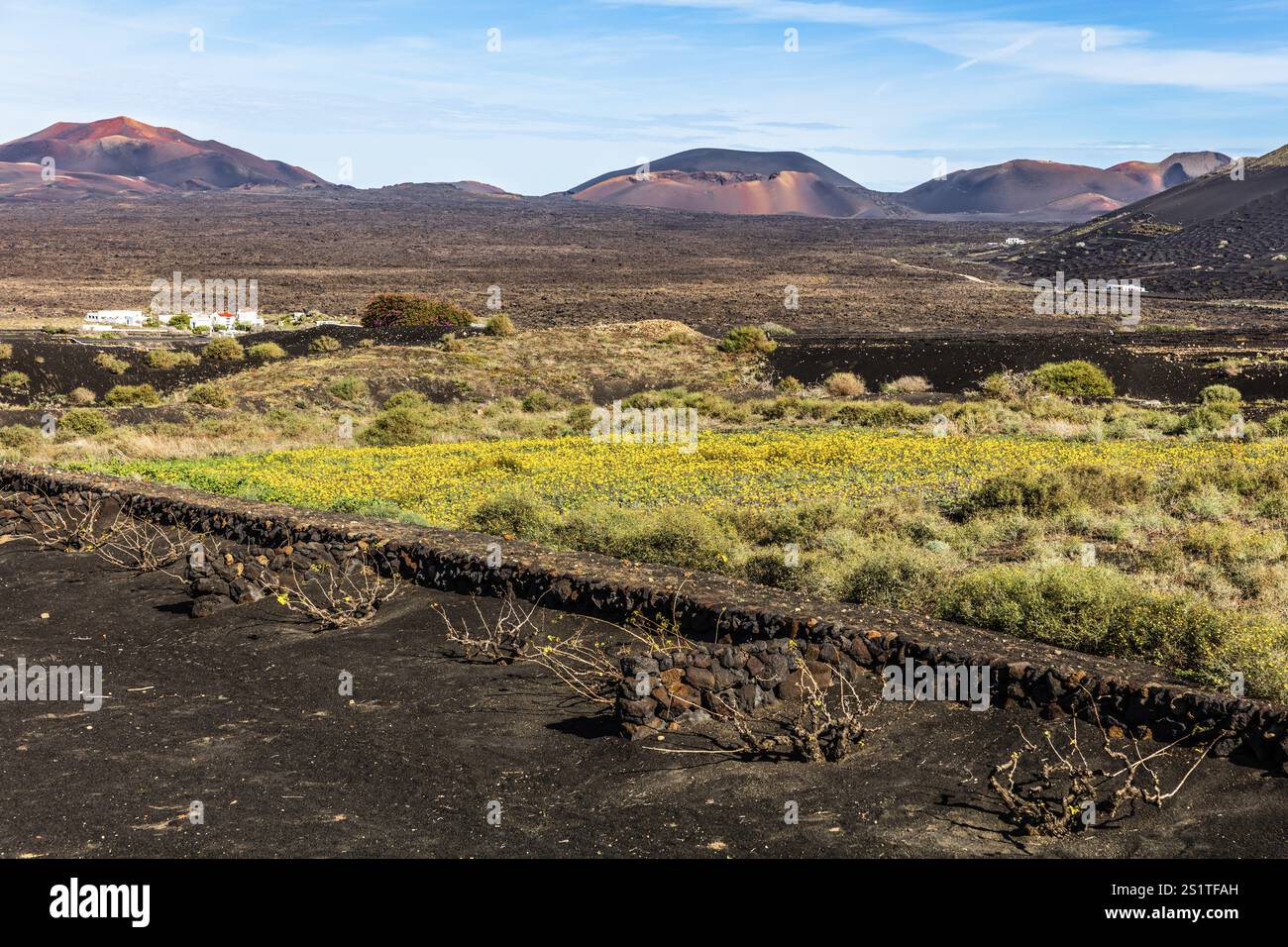 2016, la Geria, Lanzarote, la Geria, ESP, Spagna, Isole Canarie, Isole Canarie, Oceano Atlantico, Lanzarote, riserva della biosfera, vulcano, vulcanismo, vol Foto Stock