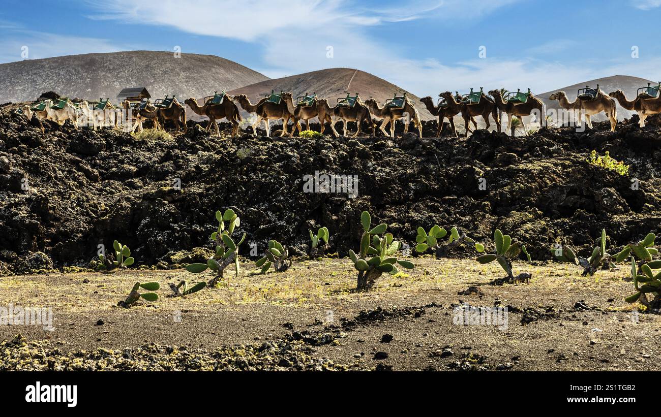 2016, Parco Nazionale di Timanfaya, Lanzarote, Monti del fuoco del Parco Nazionale di Timanfaya, Montanas del Fuego, ESP, Spagna, Isole Canarie, isole Canarie, A. Foto Stock