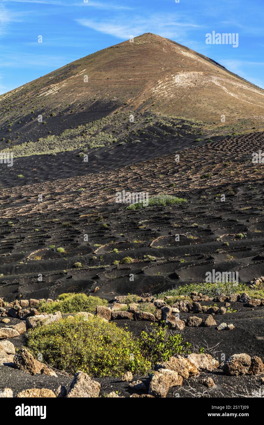 2016, la Geria, Lanzarote, la Geria, ESP, Spagna, Isole Canarie, Isole Canarie, Oceano Atlantico, Lanzarote, riserva della biosfera, vulcano, vulcanismo, vol Foto Stock