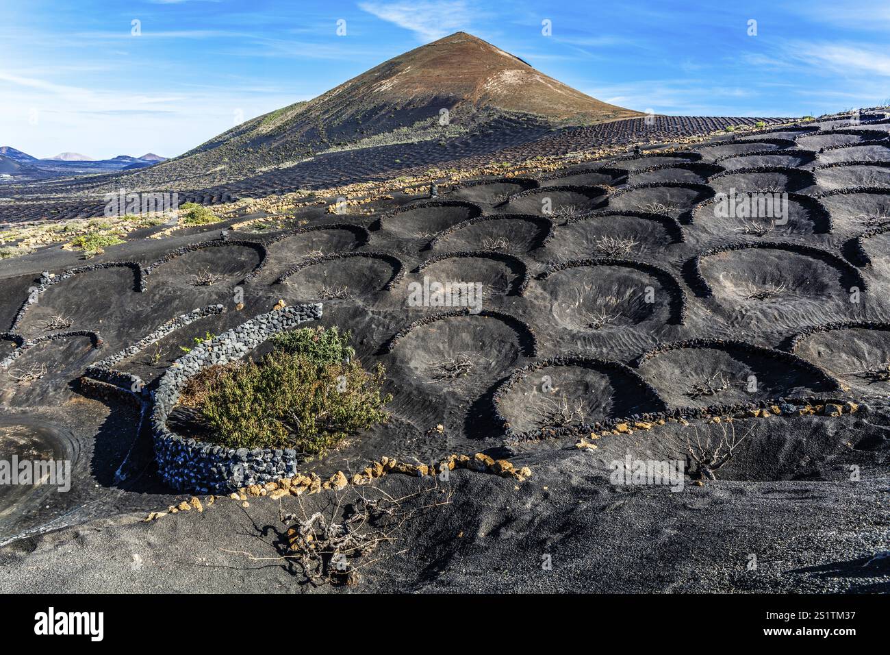 2016, la Geria, Lanzarote, la Geria, ESP, Spagna, Isole Canarie, Isole Canarie, Oceano Atlantico, Lanzarote, riserva della biosfera, vulcano, vulcanismo, vol Foto Stock