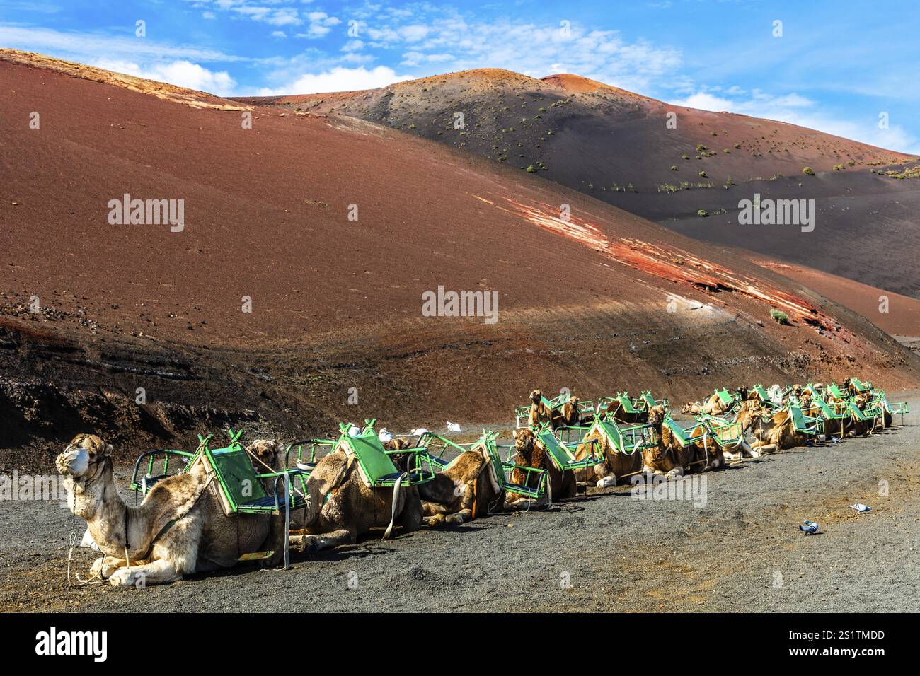 2016, Parco Nazionale di Timanfaya, Lanzarote, Monti del fuoco del Parco Nazionale di Timanfaya, Montanas del Fuego, ESP, Spagna, Isole Canarie, isole Canarie, A. Foto Stock