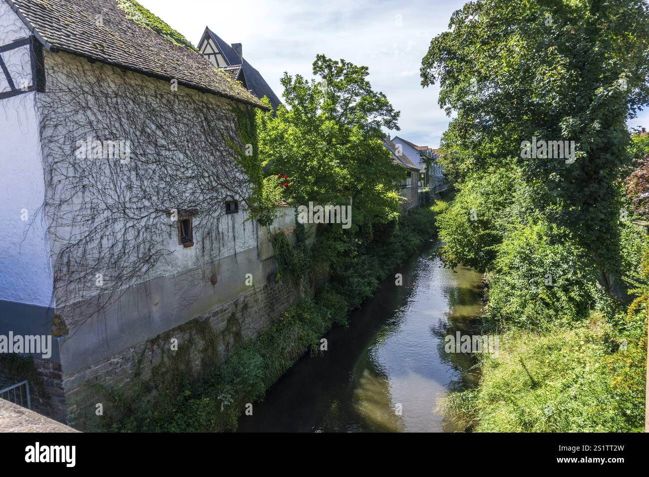 La splendida città di Speyer in Germania, con molti edifici storici, è un famoso Consiglio di viaggio. La splendida città di Speyer in Germania con molti edifici storici Foto Stock La splendida città di Speyer in Germania, con molti edifici storici, è un famoso Consiglio di viaggio. La splendida città di Speyer in Germania con molti edifici storici Foto Stock
