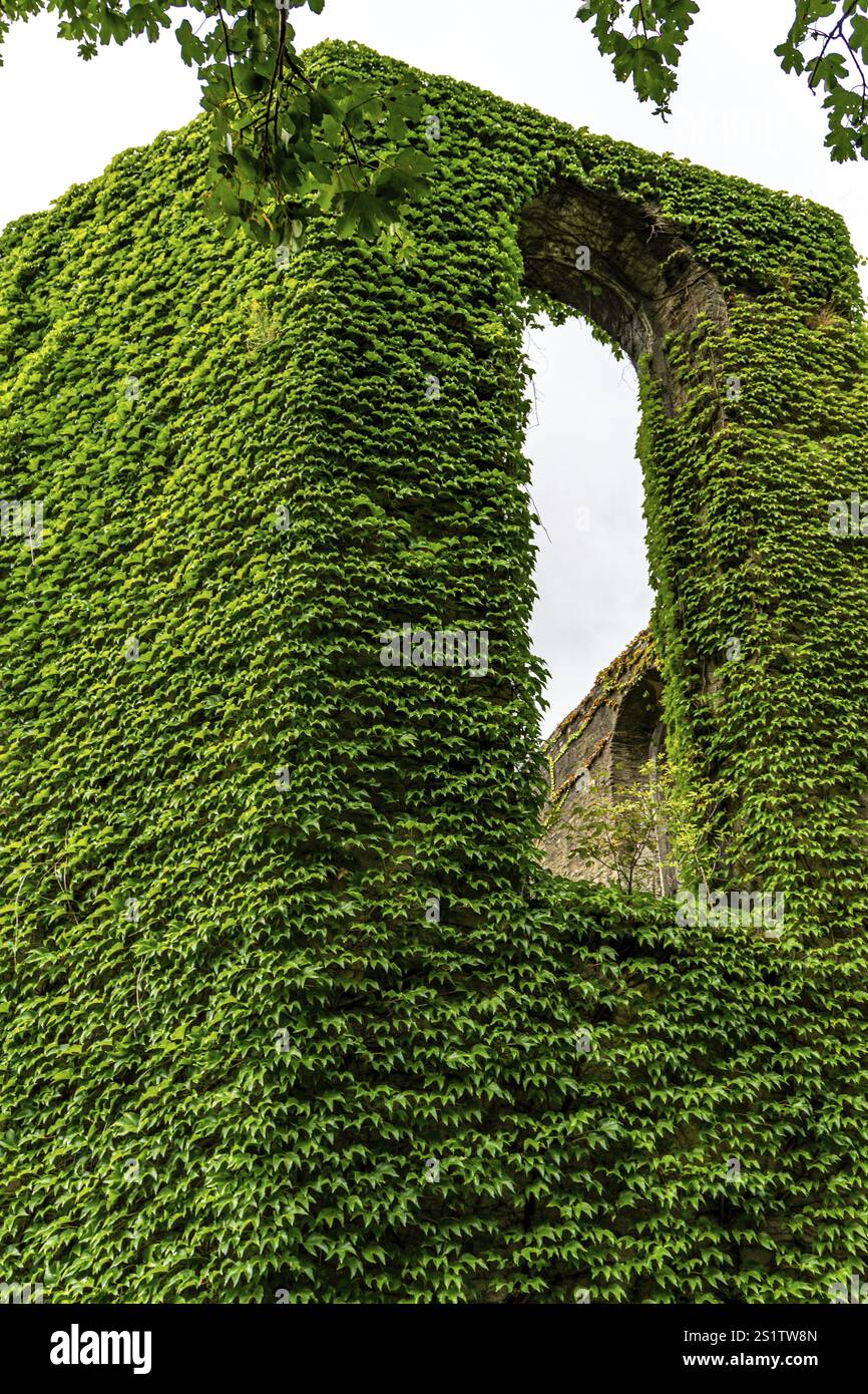 Un vecchio monastero con mura sovradimensionate nella valle Ahr in Germania è un luogo famoso per riposare lungo il percorso escursionistico. Un vecchio monastero nella valle Ahr i Foto Stock Un vecchio monastero con mura sovradimensionate nella valle Ahr in Germania è un luogo famoso per riposare lungo il percorso escursionistico. Un vecchio monastero nella valle Ahr i Foto Stock