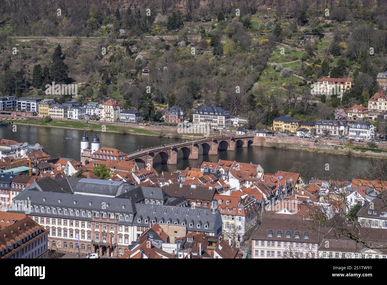 La vista dal famoso Castello di Heidelberg in Springtime è una popolare destinazione turistica ed è un vecchio edificio che vale la pena visitare. La vista da t Foto Stock La vista dal famoso Castello di Heidelberg in Springtime è una popolare destinazione turistica ed è un vecchio edificio che vale la pena visitare. La vista da t Foto Stock