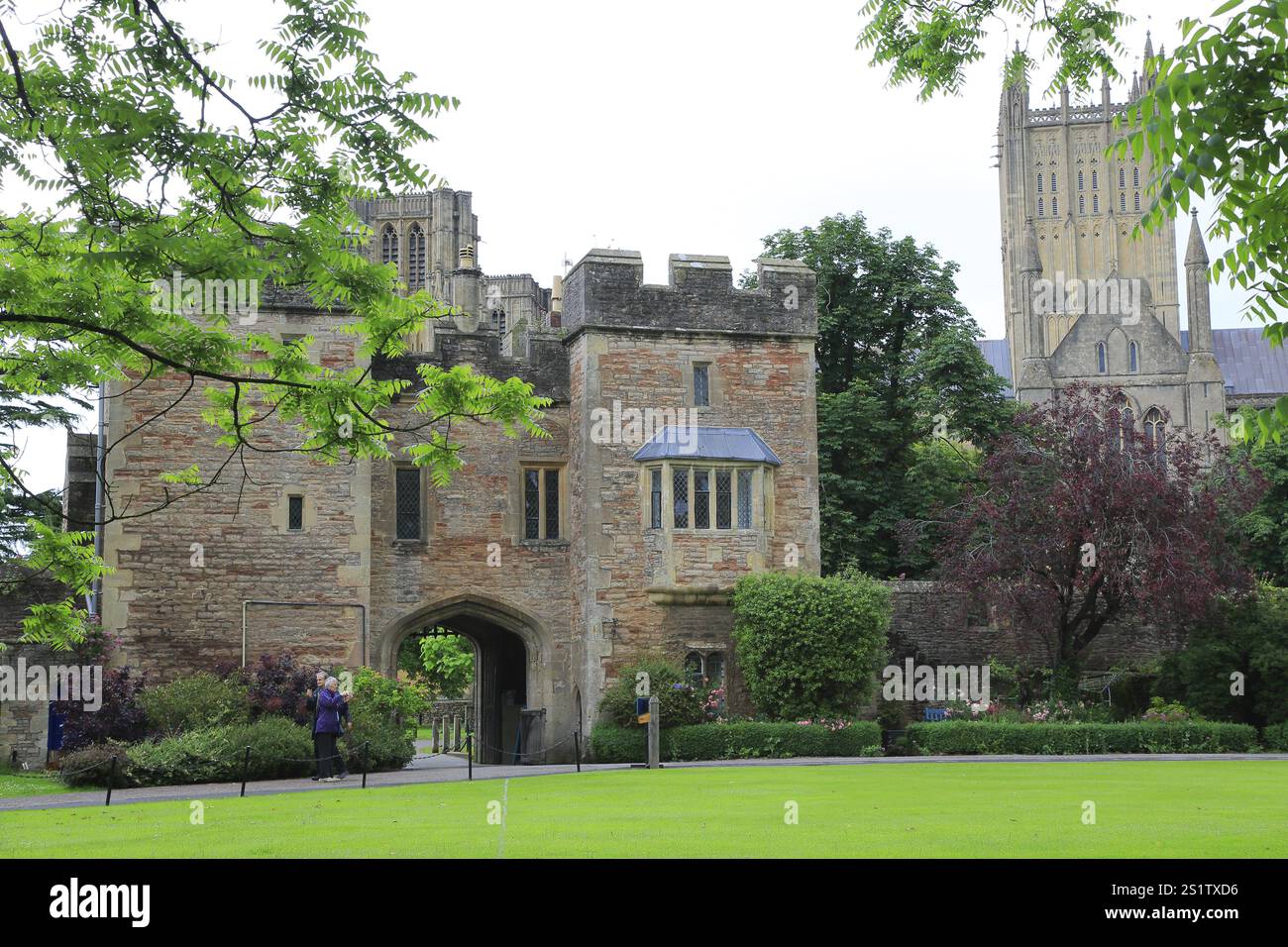 Ex palazzo episcopale, Wells, Somerset, Inghilterra, Gran Bretagna Foto Stock