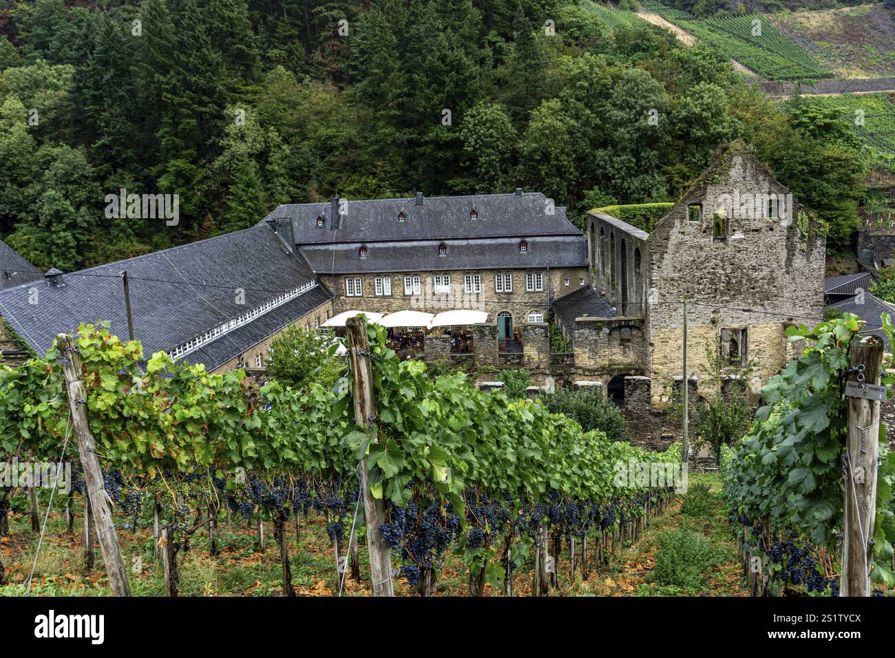 Un vecchio monastero nella valle di Ahr in Germania è un luogo famoso per riposare lungo il percorso escursionistico. Un antico monastero nella valle di Ahr in Germania è un famoso Foto Stock Un vecchio monastero nella valle di Ahr in Germania è un luogo famoso per riposare lungo il percorso escursionistico. Un antico monastero nella valle di Ahr in Germania è un famoso Foto Stock