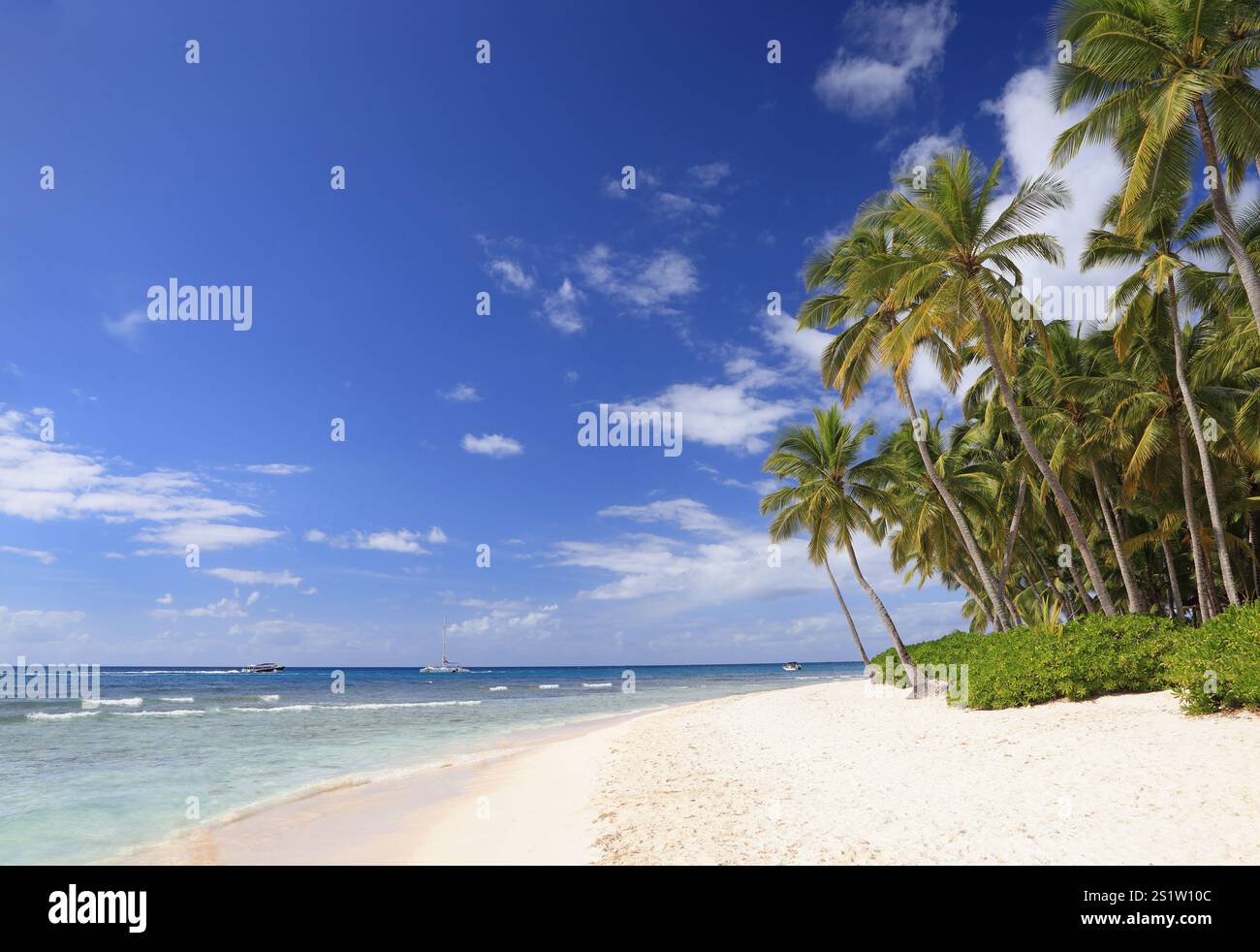 Splendida spiaggia sull'isola di Saona con sabbia bianca e cielo blu sullo sfondo, Repubblica Dominicana Foto Stock