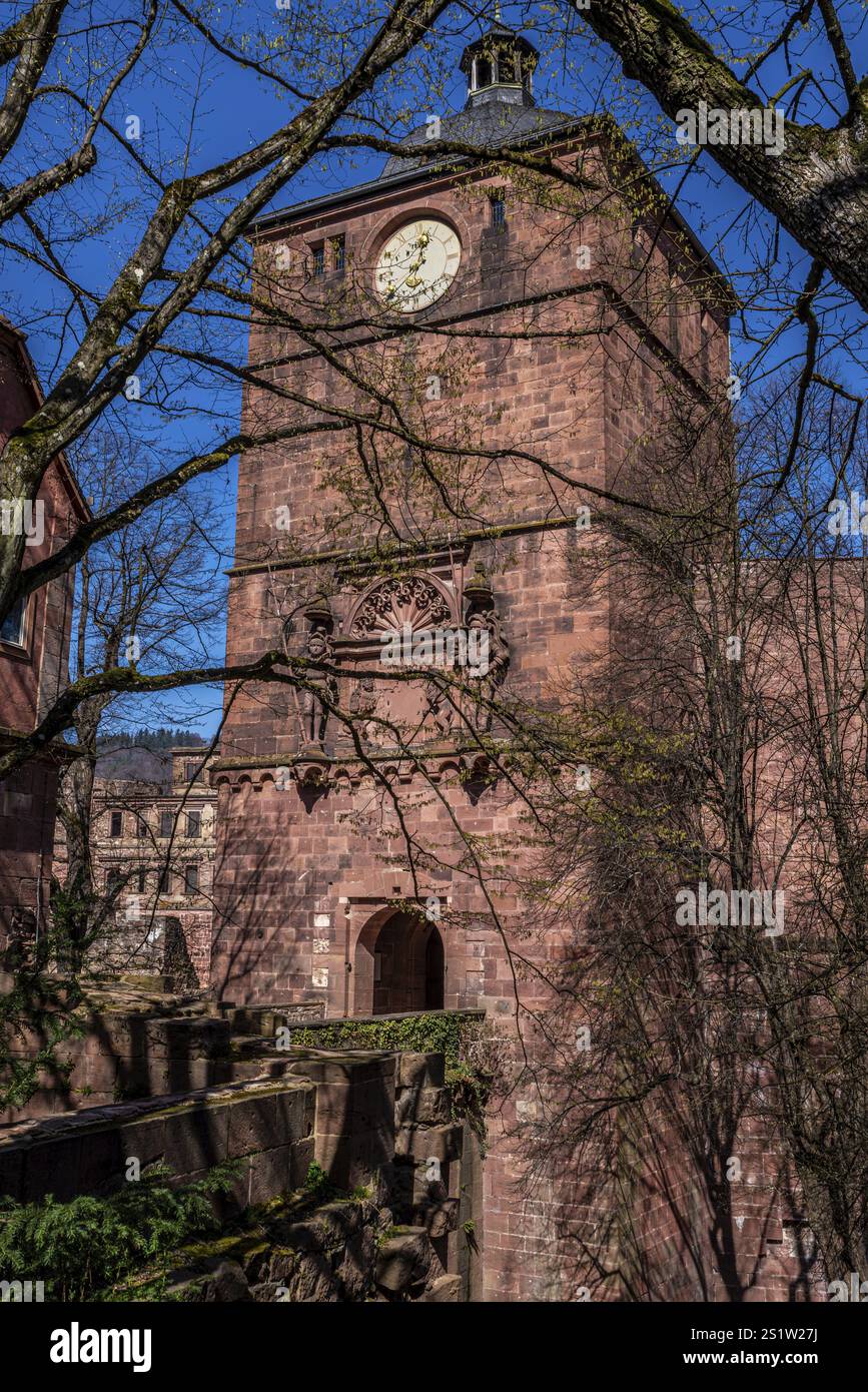 Il famoso Castello di Heidelberg in Springtime è una popolare destinazione turistica ed è un vecchio edificio che vale la pena visitare. Il famoso Castello di Heidelbe Foto Stock Il famoso Castello di Heidelberg in Springtime è una popolare destinazione turistica ed è un vecchio edificio che vale la pena visitare. Il famoso Castello di Heidelbe Foto Stock