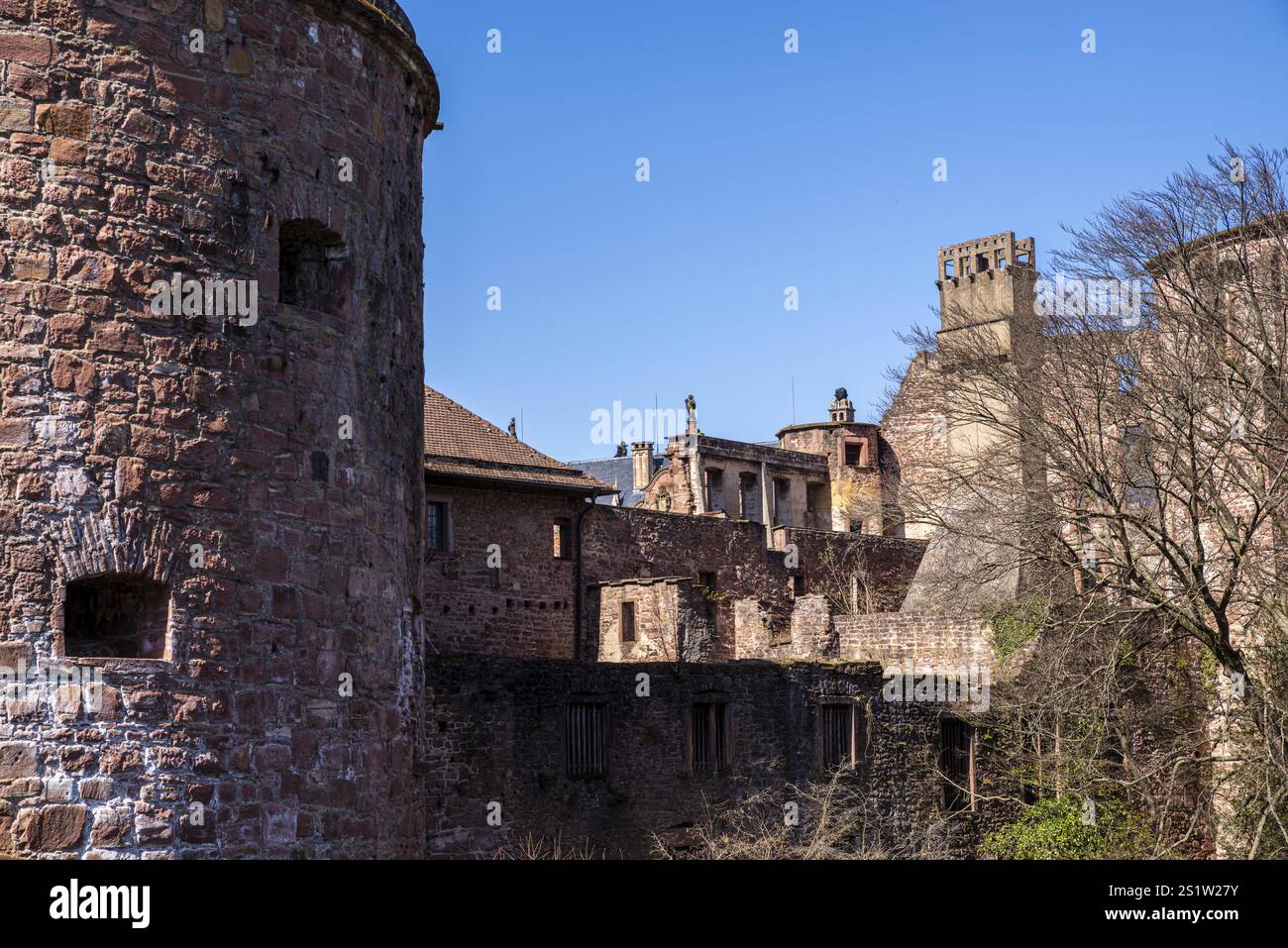 Il famoso Castello di Heidelberg in Springtime è una popolare destinazione turistica ed è un vecchio edificio che vale la pena visitare. Il famoso Castello di Heidelbe Foto Stock Il famoso Castello di Heidelberg in Springtime è una popolare destinazione turistica ed è un vecchio edificio che vale la pena visitare. Il famoso Castello di Heidelbe Foto Stock