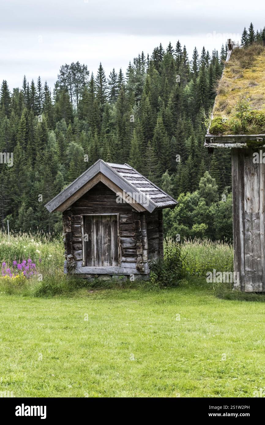 Casa tradizionale in legno con tetto in erba nel Setesdal in Norvegia, in un paesaggio naturale. Vecchia casa in legno nel Setesdal in Norvegia, in landsca naturale Foto Stock