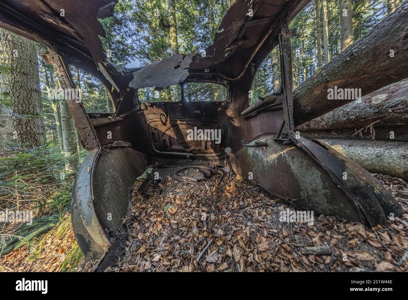 Auto distrutta Hudson Terraplane K Tourer Sedan costruita nel 1935 e rimasta in una foresta per decenni, Menzingen, Zug, Svizzera, Europa Foto Stock