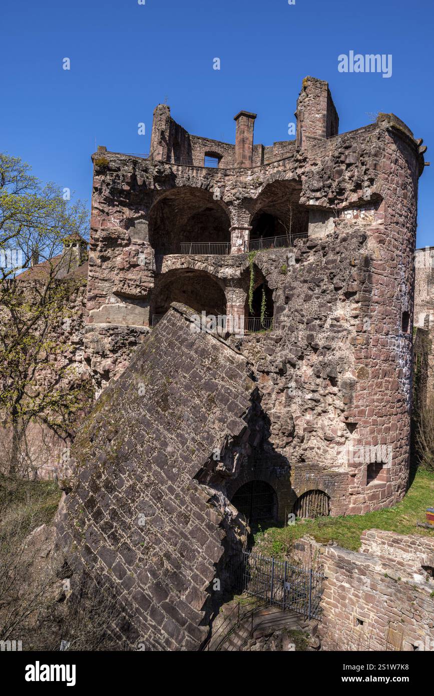 Il famoso Castello di Heidelberg in Springtime è una popolare destinazione turistica ed è un vecchio edificio che vale la pena visitare. Il famoso Castello di Heidelbe Foto Stock Il famoso Castello di Heidelberg in Springtime è una popolare destinazione turistica ed è un vecchio edificio che vale la pena visitare. Il famoso Castello di Heidelbe Foto Stock