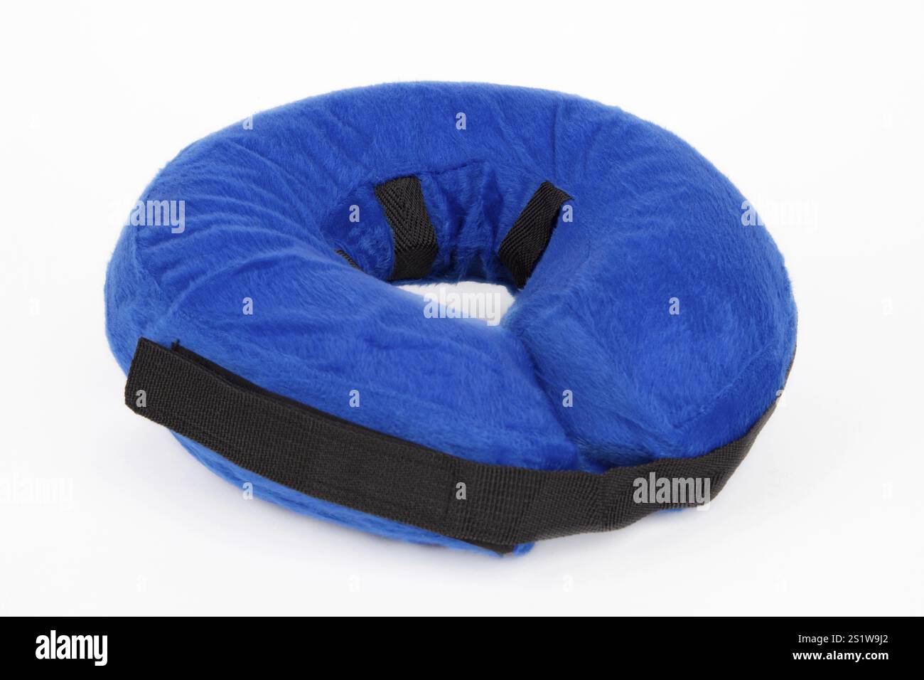 Blaues Schutzhalsband fuer Tiere isoliert auf weissem Hintergrund Foto Stock