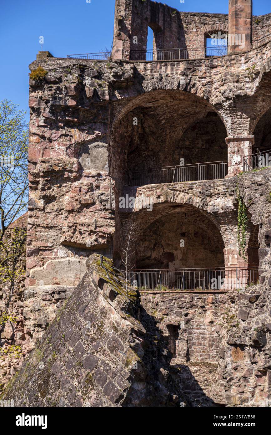 Il famoso Castello di Heidelberg in Springtime è una popolare destinazione turistica ed è un vecchio edificio che vale la pena visitare. Il famoso Castello di Heidelbe Foto Stock Il famoso Castello di Heidelberg in Springtime è una popolare destinazione turistica ed è un vecchio edificio che vale la pena visitare. Il famoso Castello di Heidelbe Foto Stock