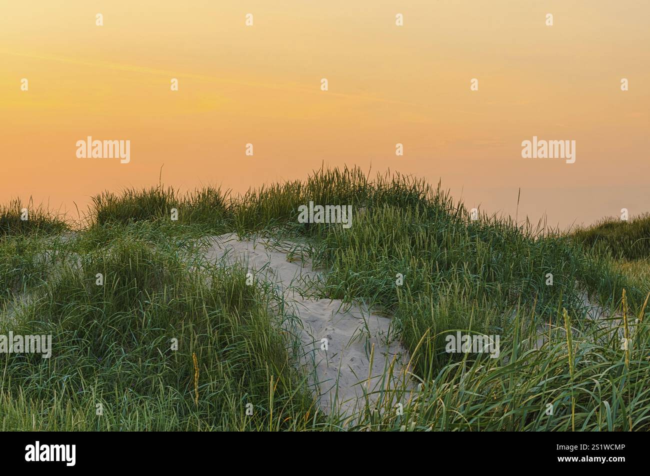 Spiaggia sabbiosa sul Mare del Nord in Danimarca in una serata estiva. Spiaggia sabbiosa sul Mare del Nord in Danimarca in una serata estiva Foto Stock