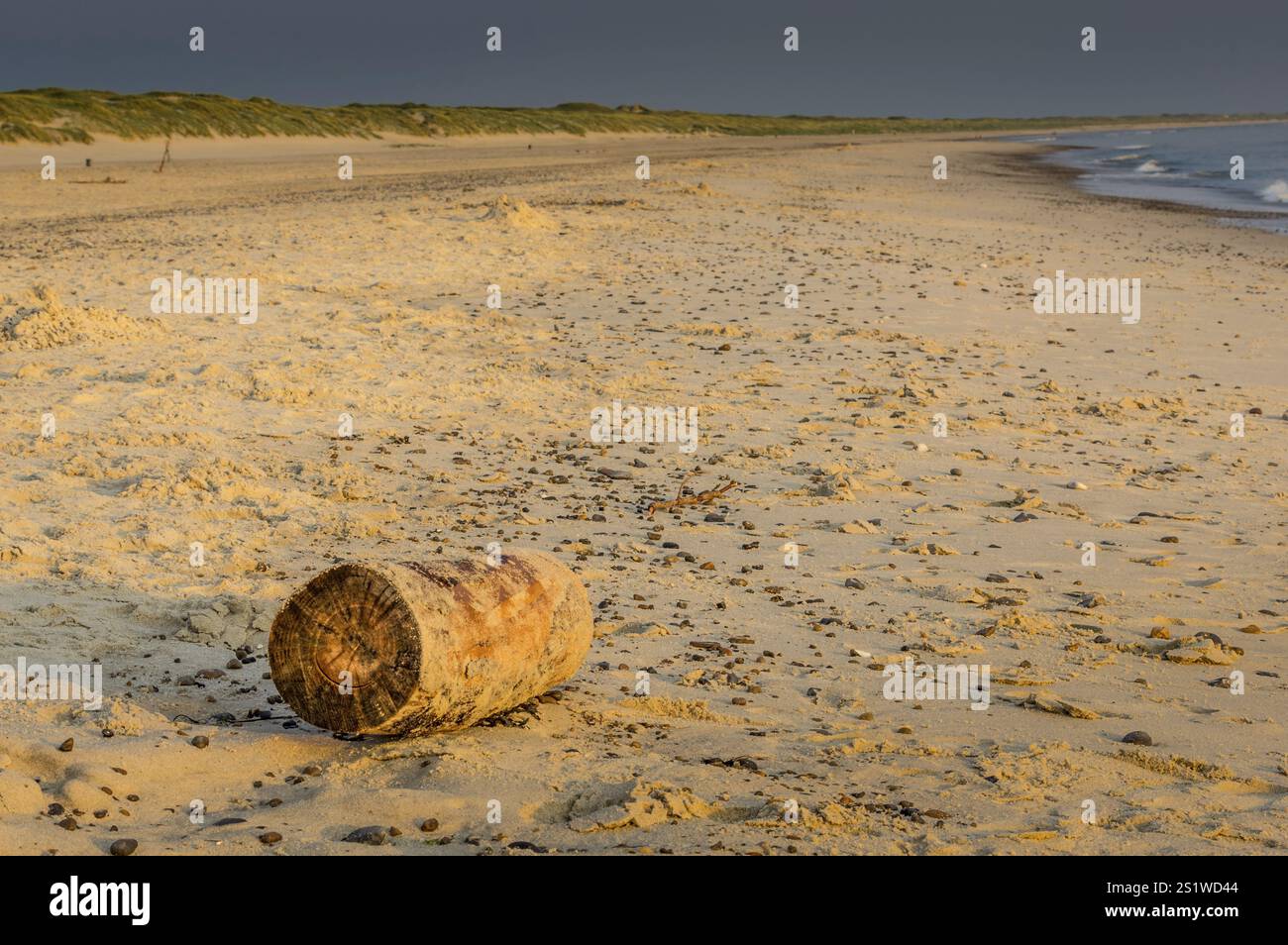 Spiaggia sabbiosa sul Mare del Nord in Danimarca in una serata estiva. Spiaggia sabbiosa sul Mare del Nord in Danimarca in una serata estiva Foto Stock