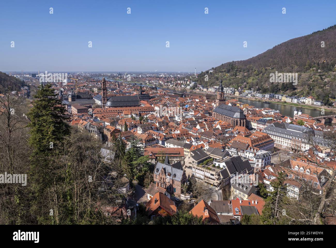 La vista dal famoso Castello di Heidelberg in Springtime è una popolare destinazione turistica ed è un vecchio edificio che vale la pena visitare. La vista da t Foto Stock La vista dal famoso Castello di Heidelberg in Springtime è una popolare destinazione turistica ed è un vecchio edificio che vale la pena visitare. La vista da t Foto Stock