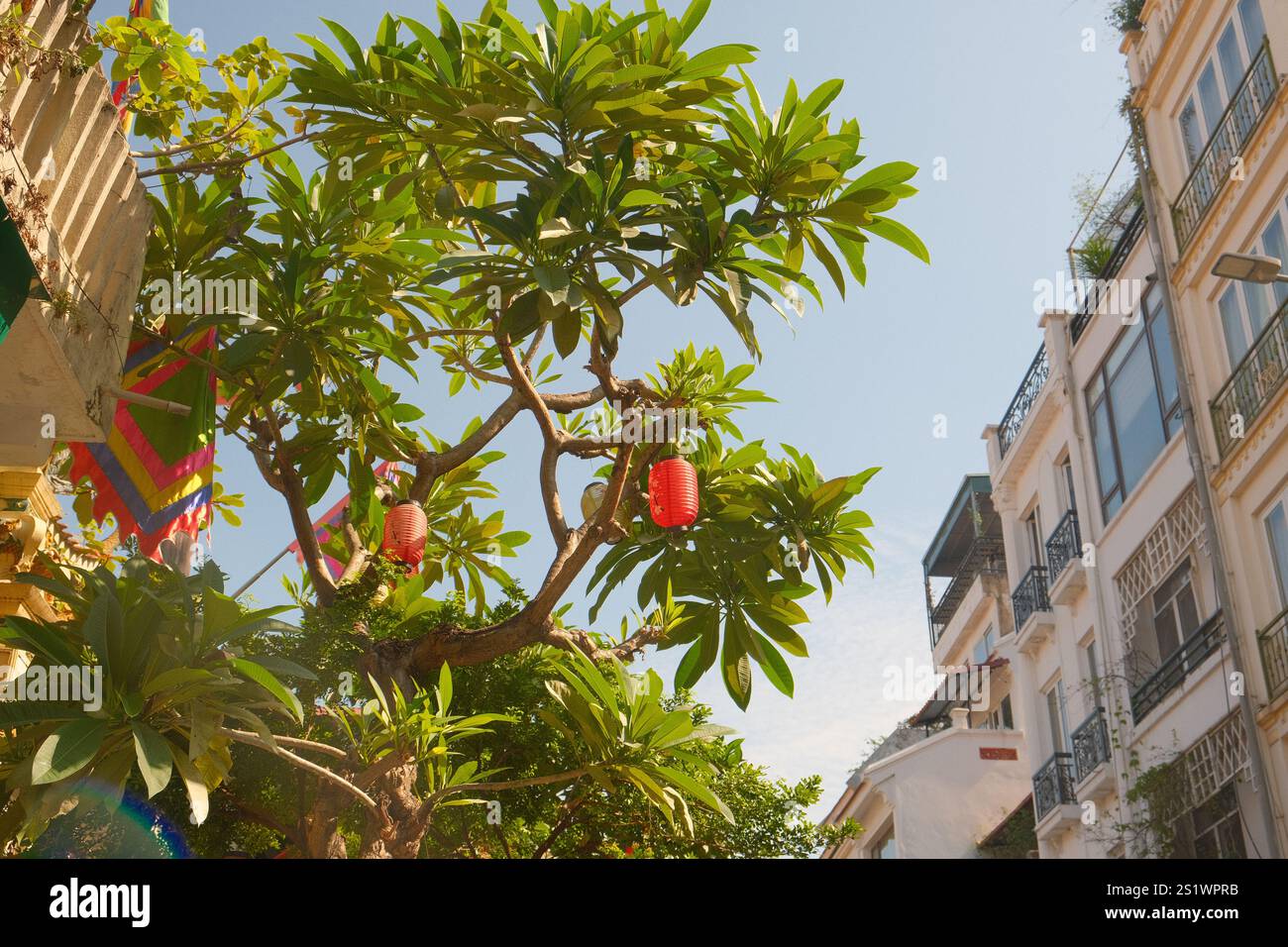 Una vivace rappresentazione della cultura del Sud-est asiatico (Hanoi, Vietnam) Foto Stock