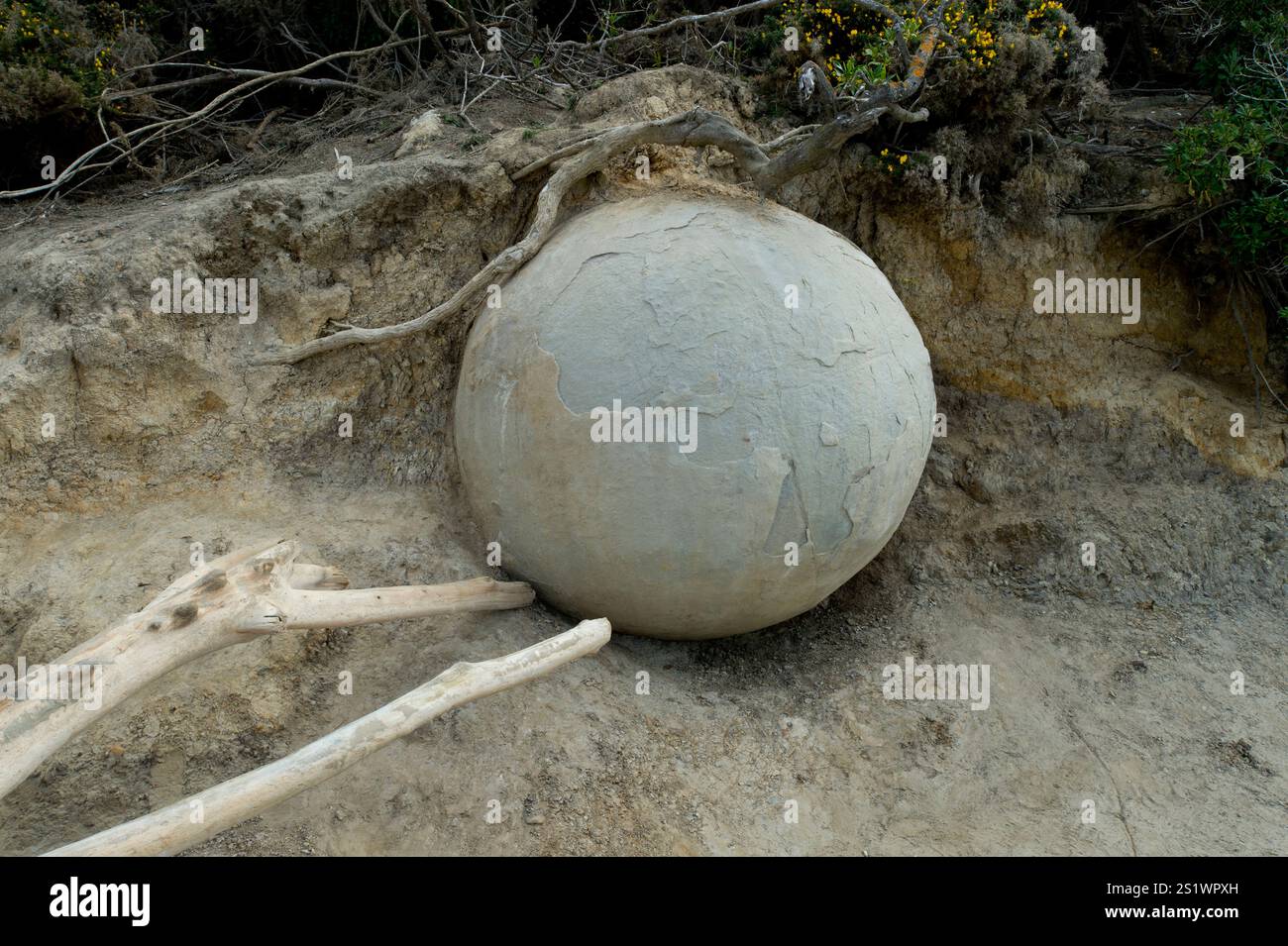 Moeraki Boulder è incastonato nella spiaggia di Koehoe sulla costa di Otago sull'Isola del Sud in nuova Zelanda Foto Stock