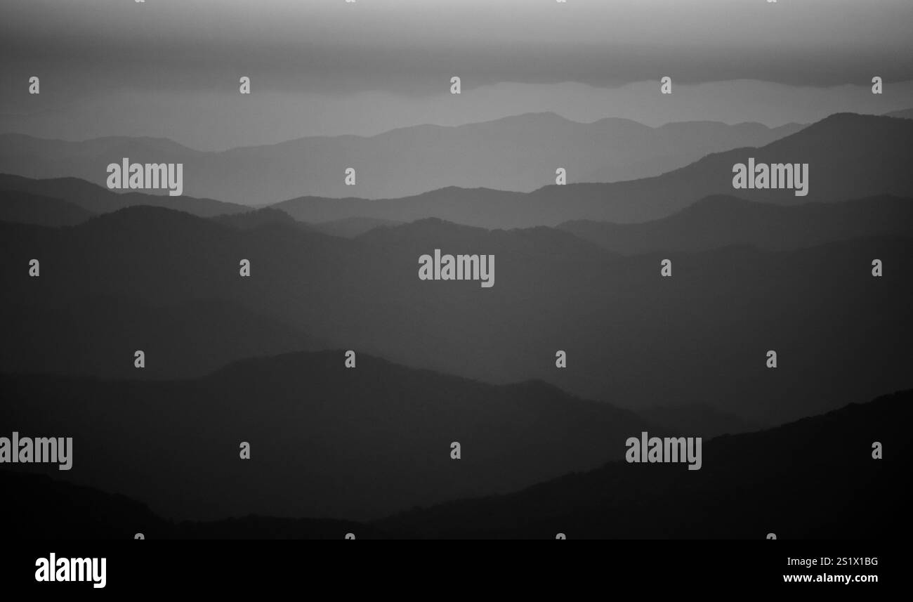 Sfumature di grigio Foto Stock