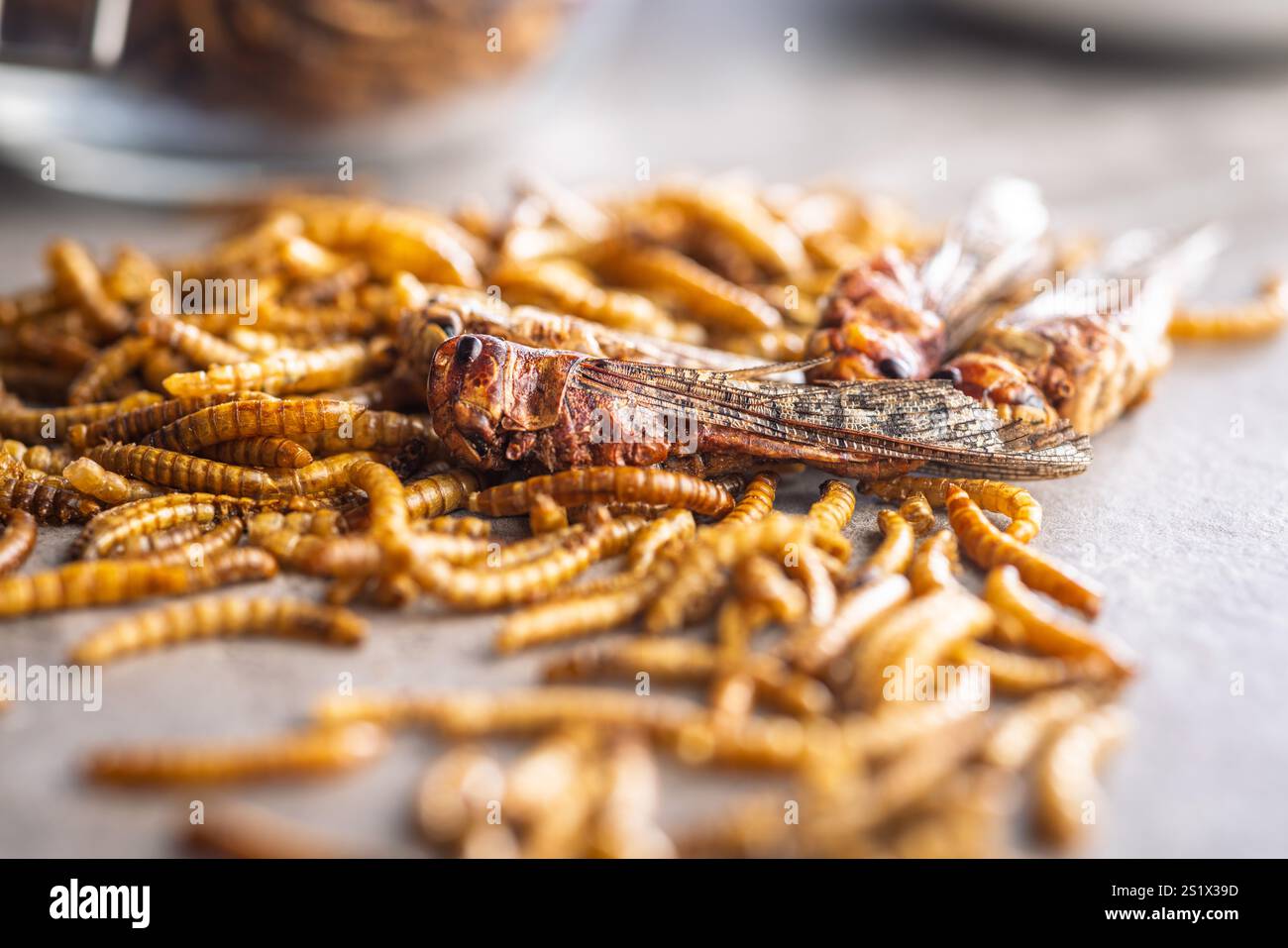 Insetto salato secco. Cavallette arrostite e vermi da pasto su un tavolo da cucina. Foto Stock