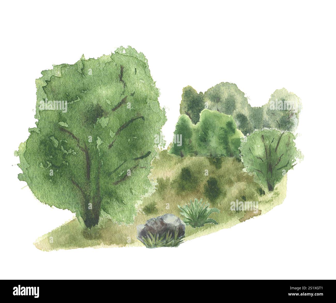 Scenario boschivo di alberi verdi, pietra su erba illustrazione ad acquerello disegnata a mano. Fitte fogliame di arbusti sullo sfondo e riflessi della foresta isolati. Lussureggiante Foto Stock